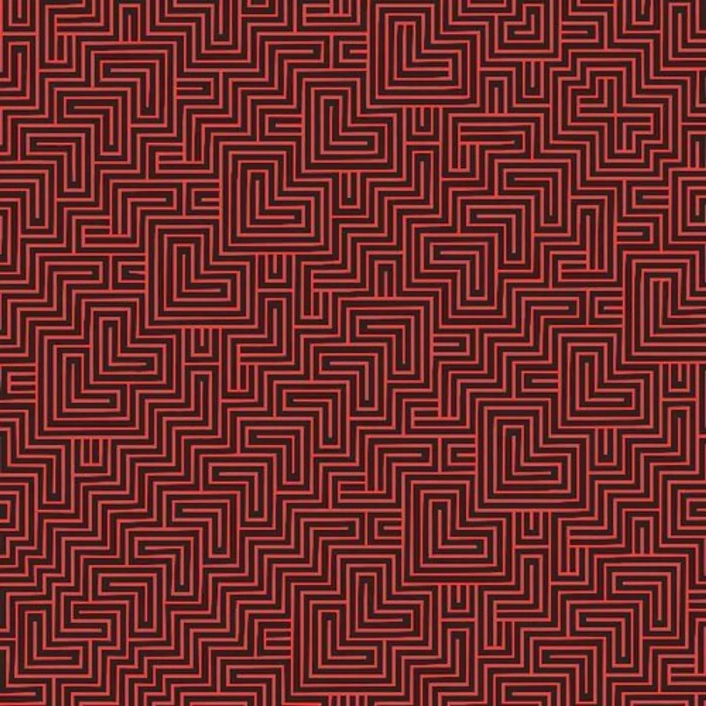 Black Angels WILDERNESS OF MIRRORS CD