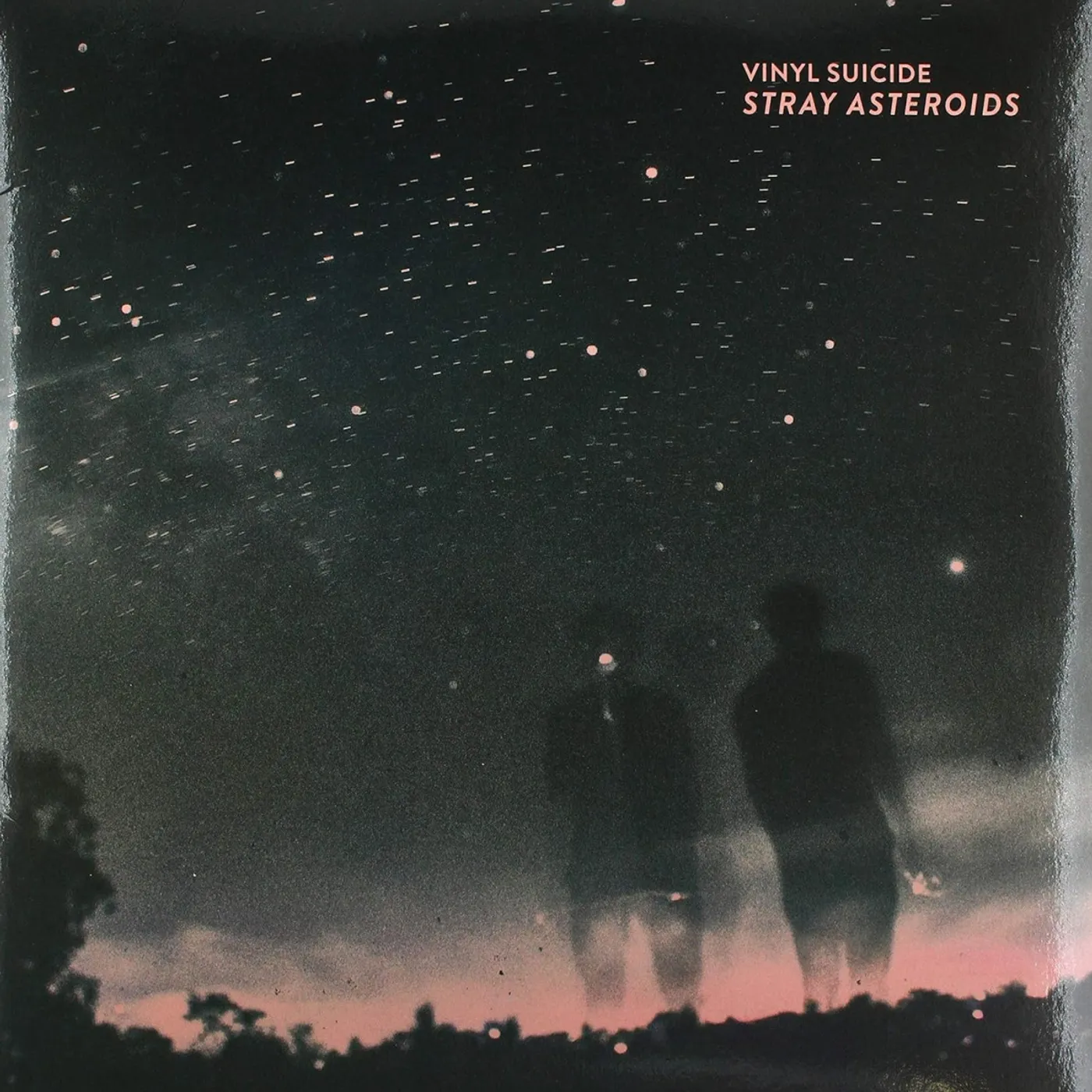 Vinyl Suicide STRAY ASTEROIDS Vinyl Record