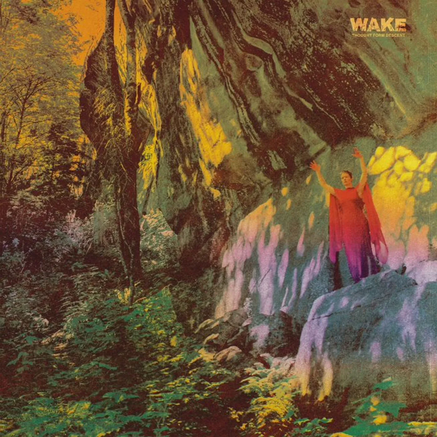 Wake Thought Form Descent Vinyl Record