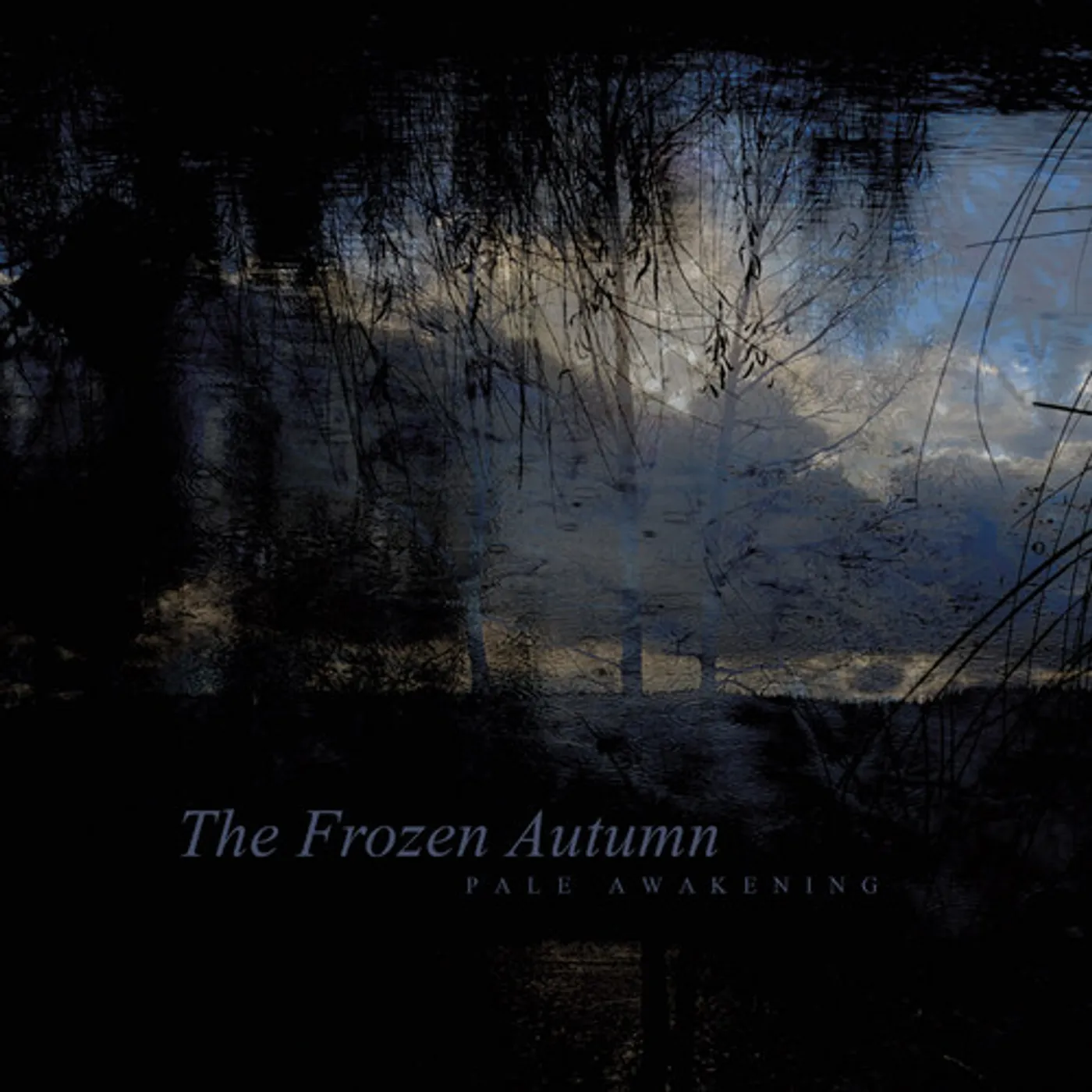 The frozen Autumn PALE AWAKENING CD