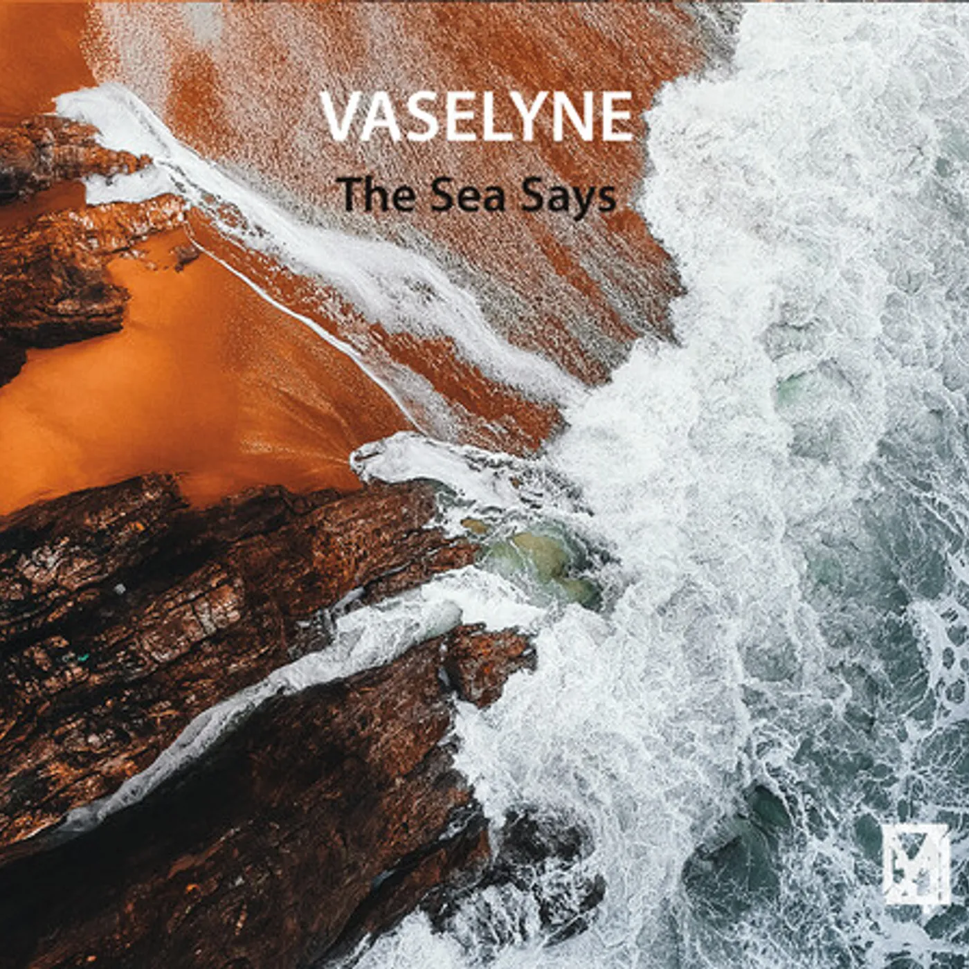 Vaselyne SEA SAYS CD