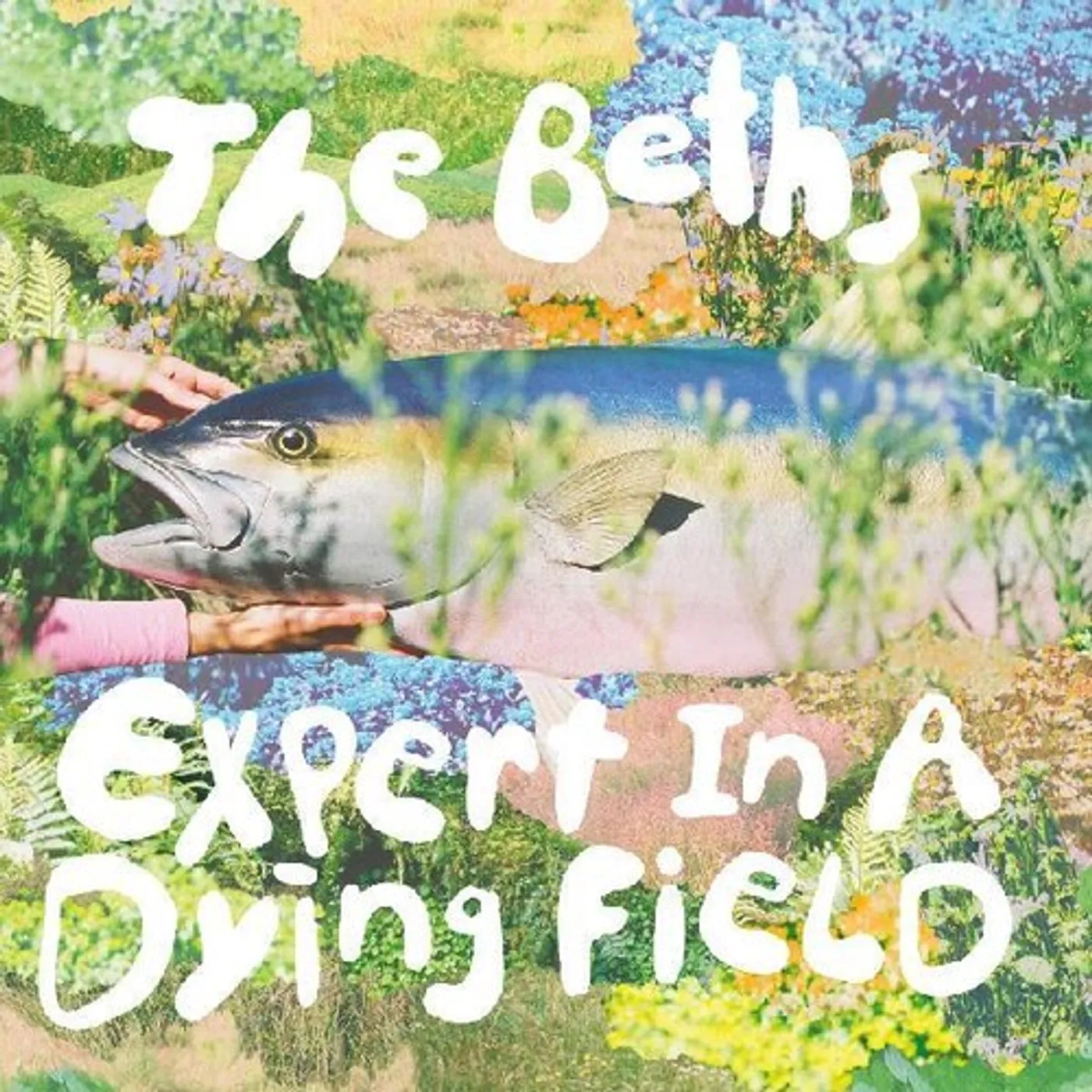The Beths EXPERT IN A DYING FIELD CD