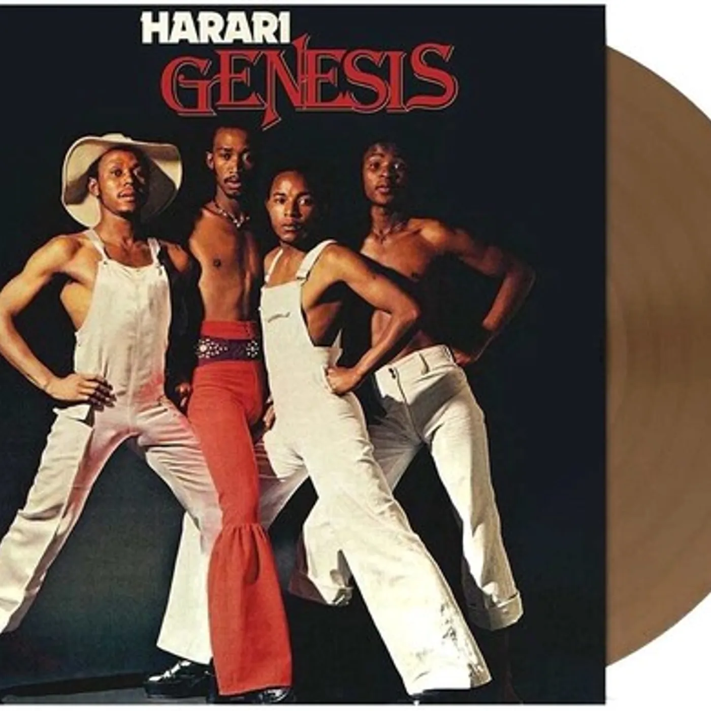 Harari Genesis Vinyl Record