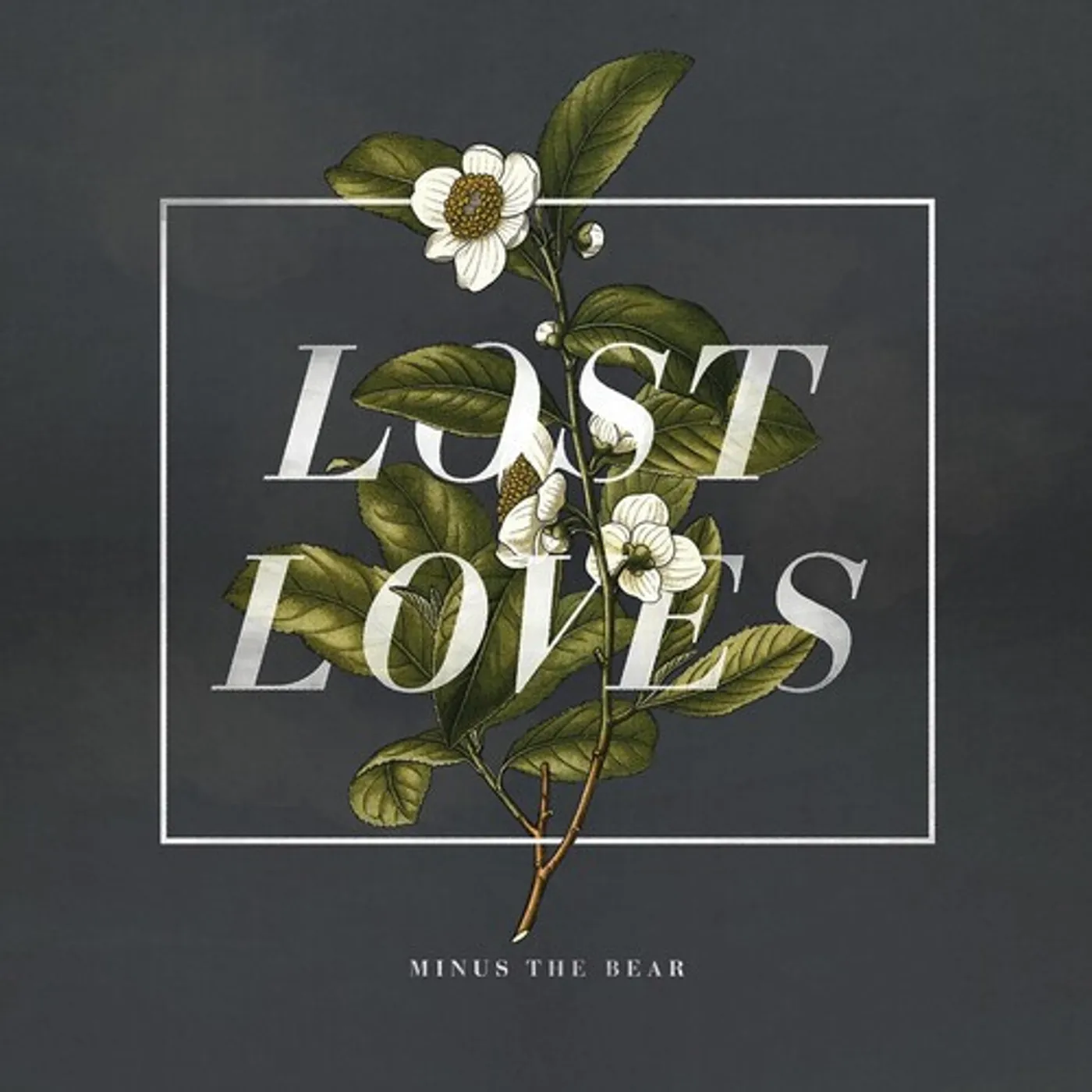 Minus the Bear Lost Loves vinyl record
