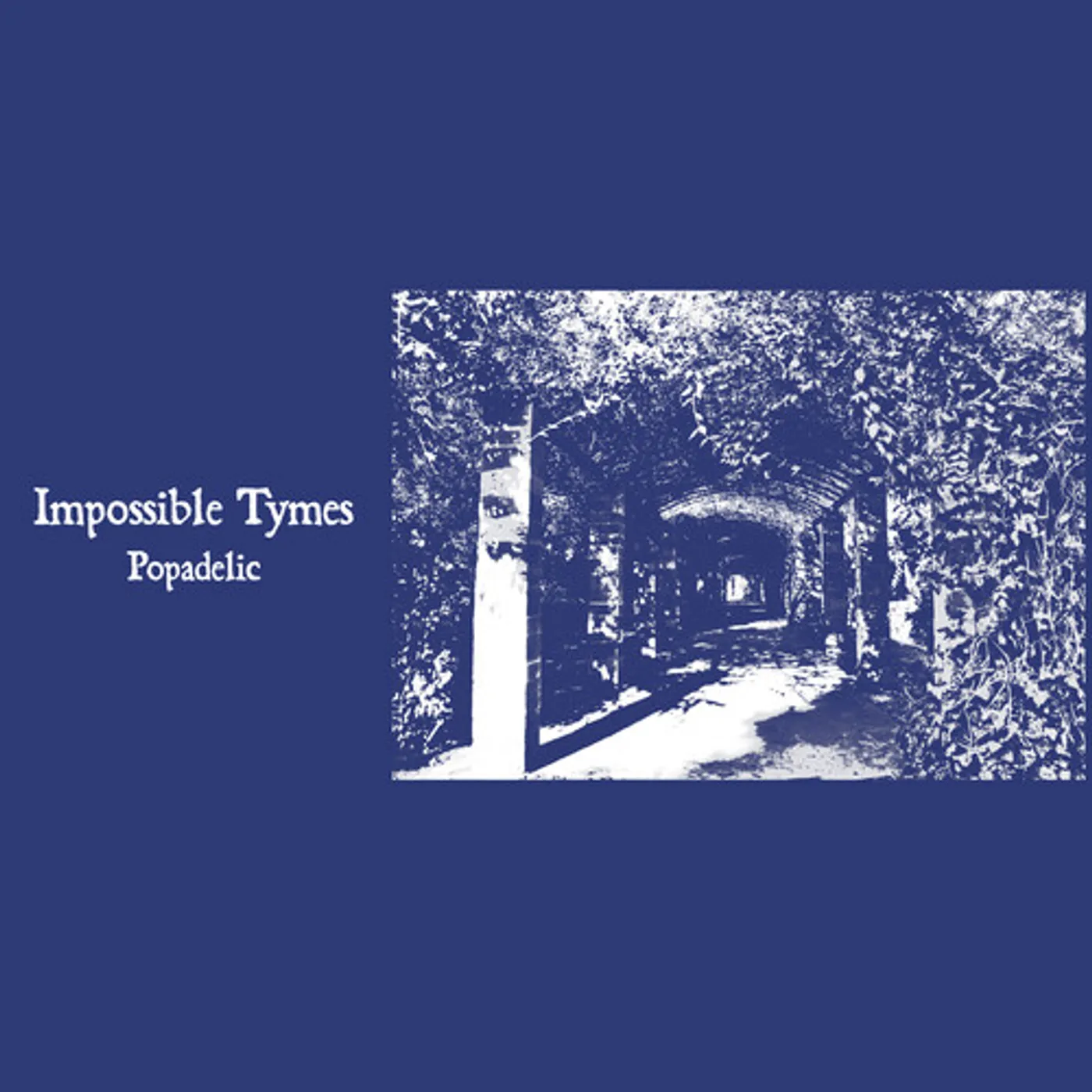 Impossible Tymes Popadelic Vinyl Record