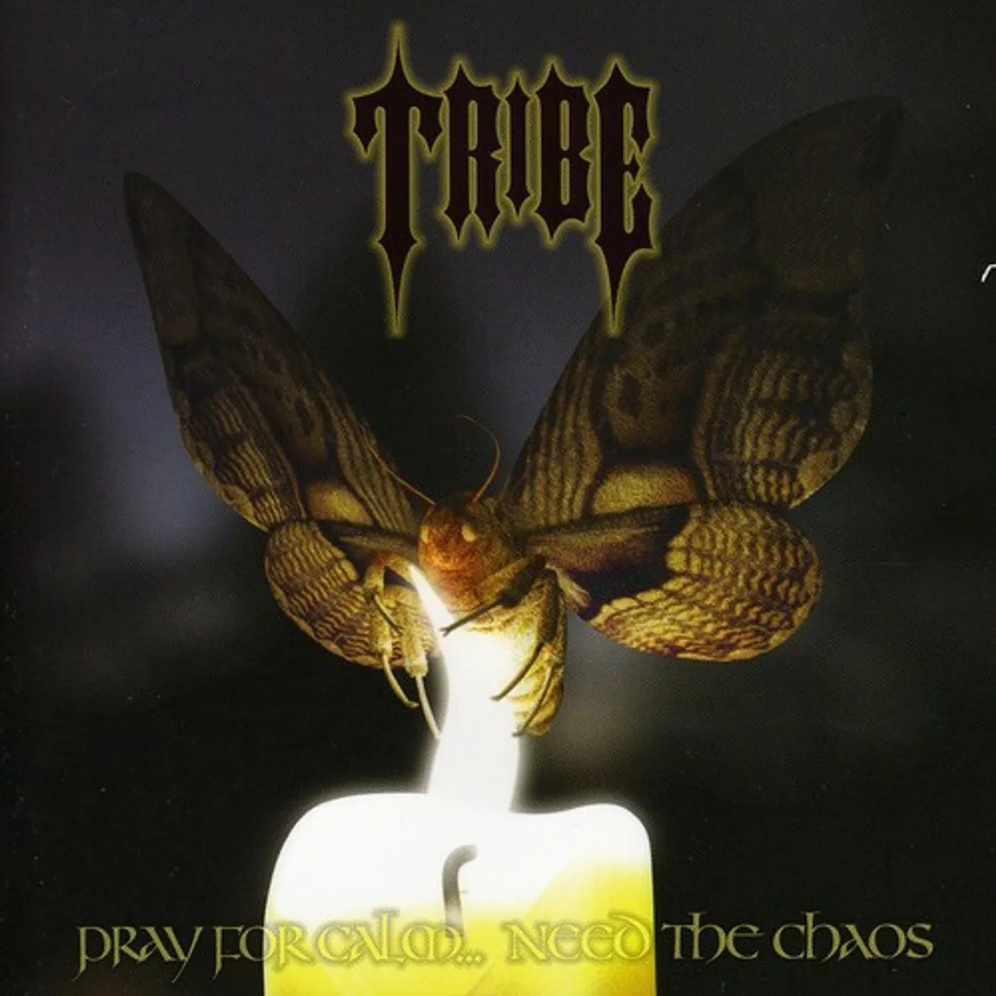 Tribe Pray For Calm Need The Chaos CD