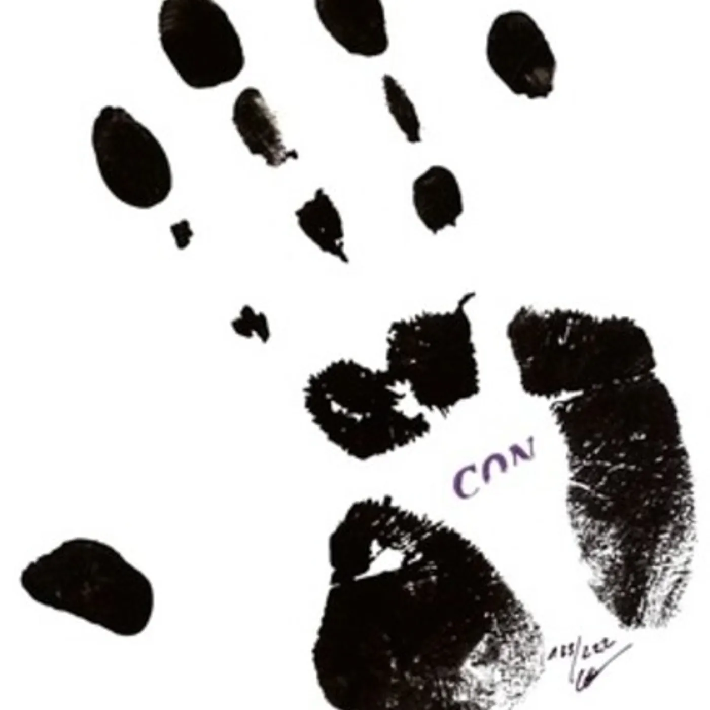 Conrad Schnitzler Con 84 Vinyl Record