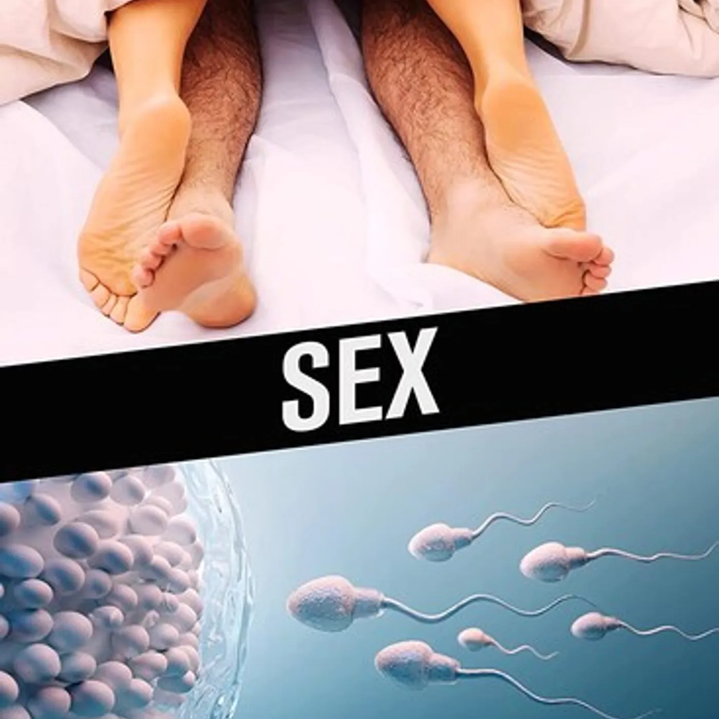 SEX DVD