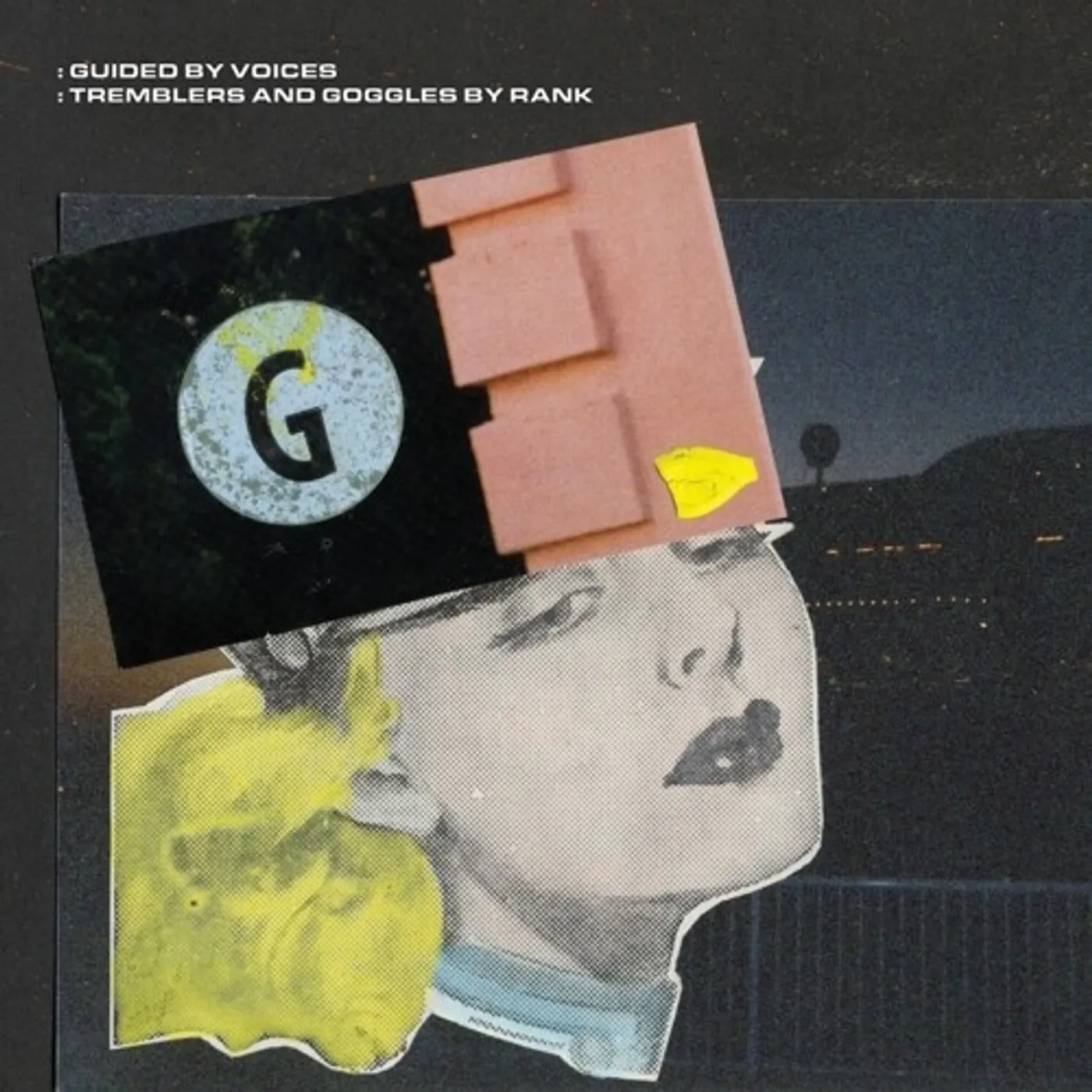 Guided By Voices Tremblers And Goggles By Rank vinyl record