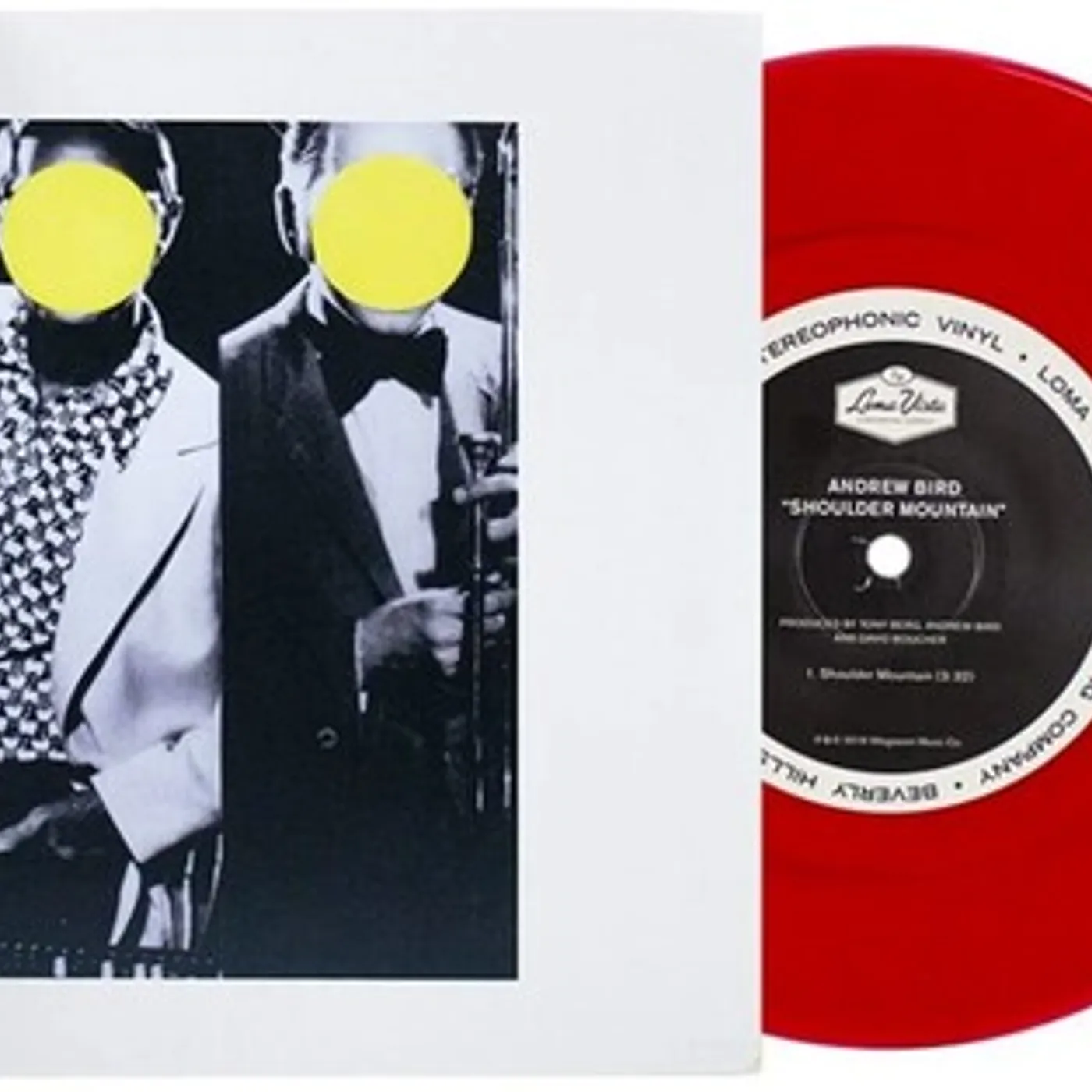 Andrew Bird Shoulder Mountain Vinyl Record