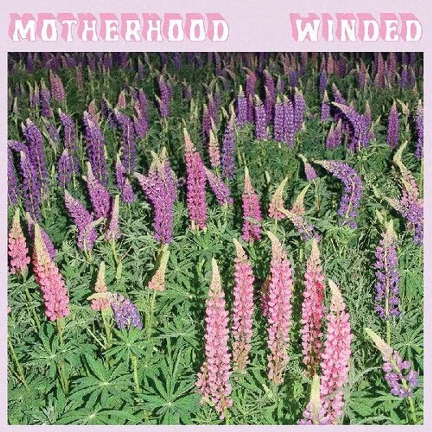 The Motherhood WINDED Vinyl Record