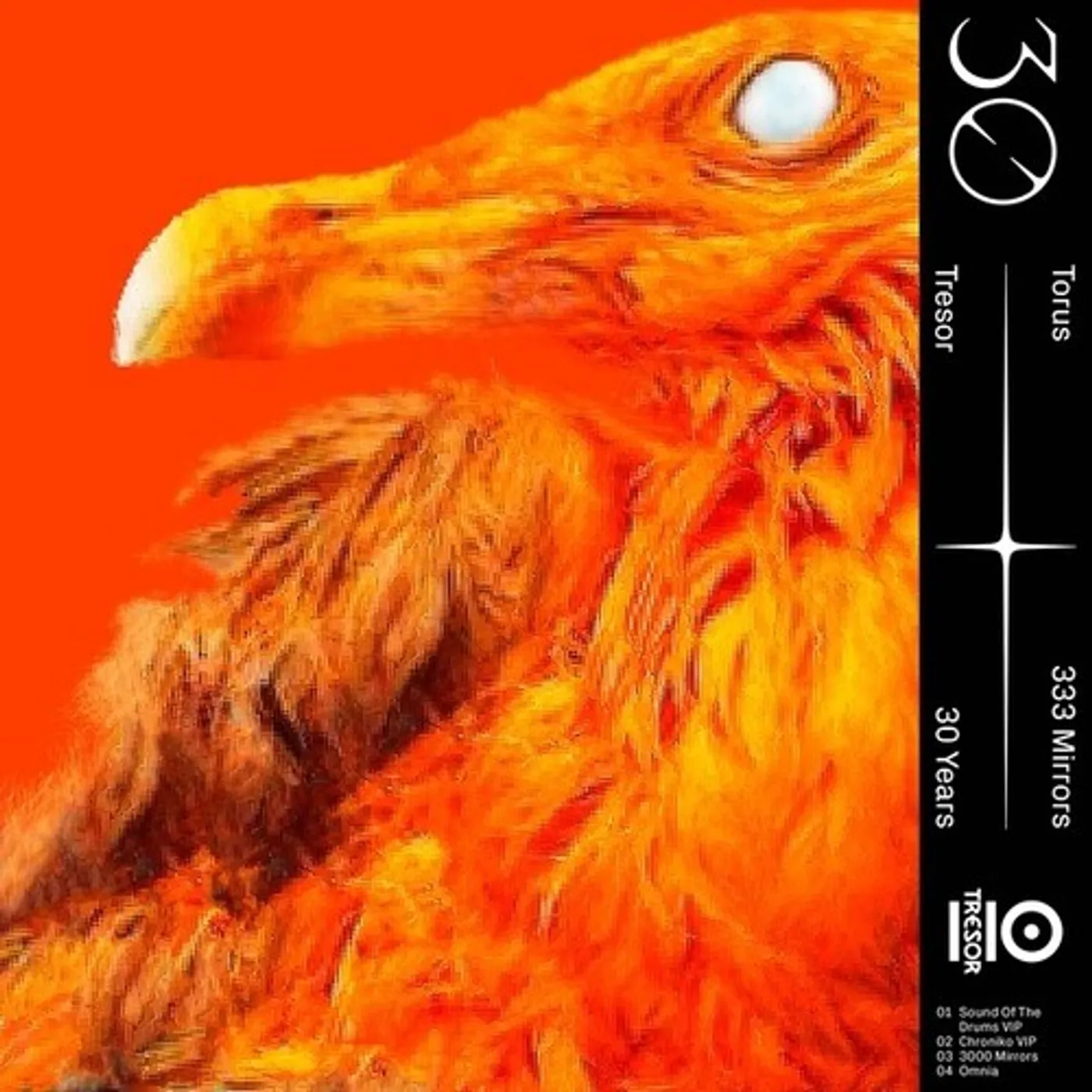 Torus 333 Mirrors Vinyl Record