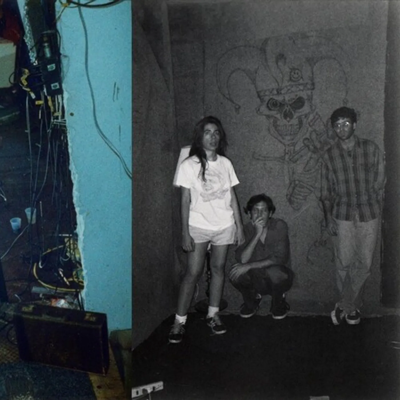 Harry Pussy You'll Never Play This Town Again Vinyl Record