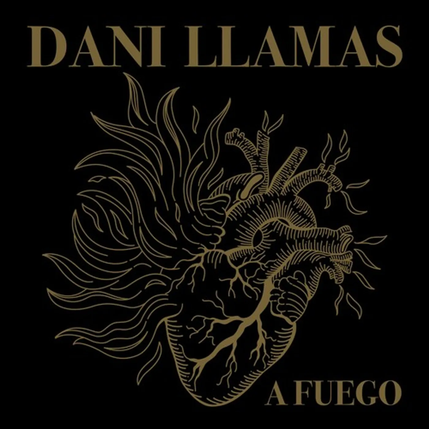 Dani Llamas A Fuego vinyl record