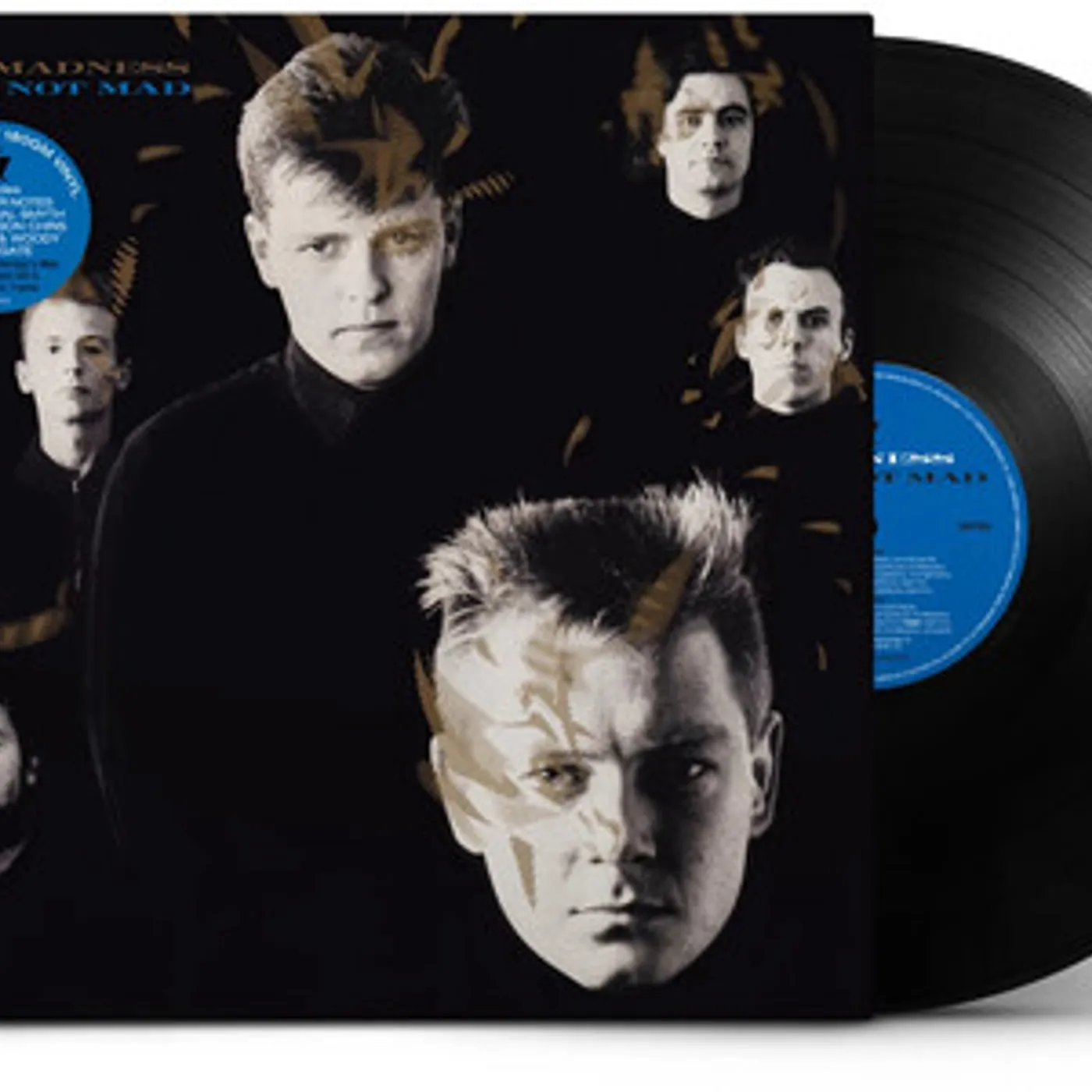 Madness Mad Not Mad Vinyl Record
