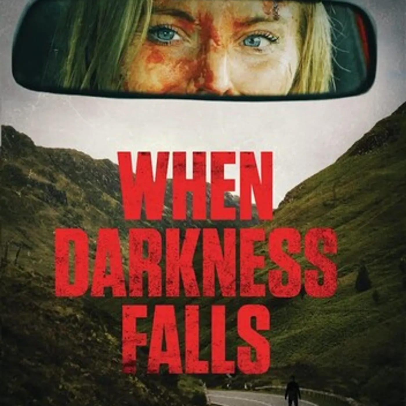 WHEN DARKNESS FALLS DVD