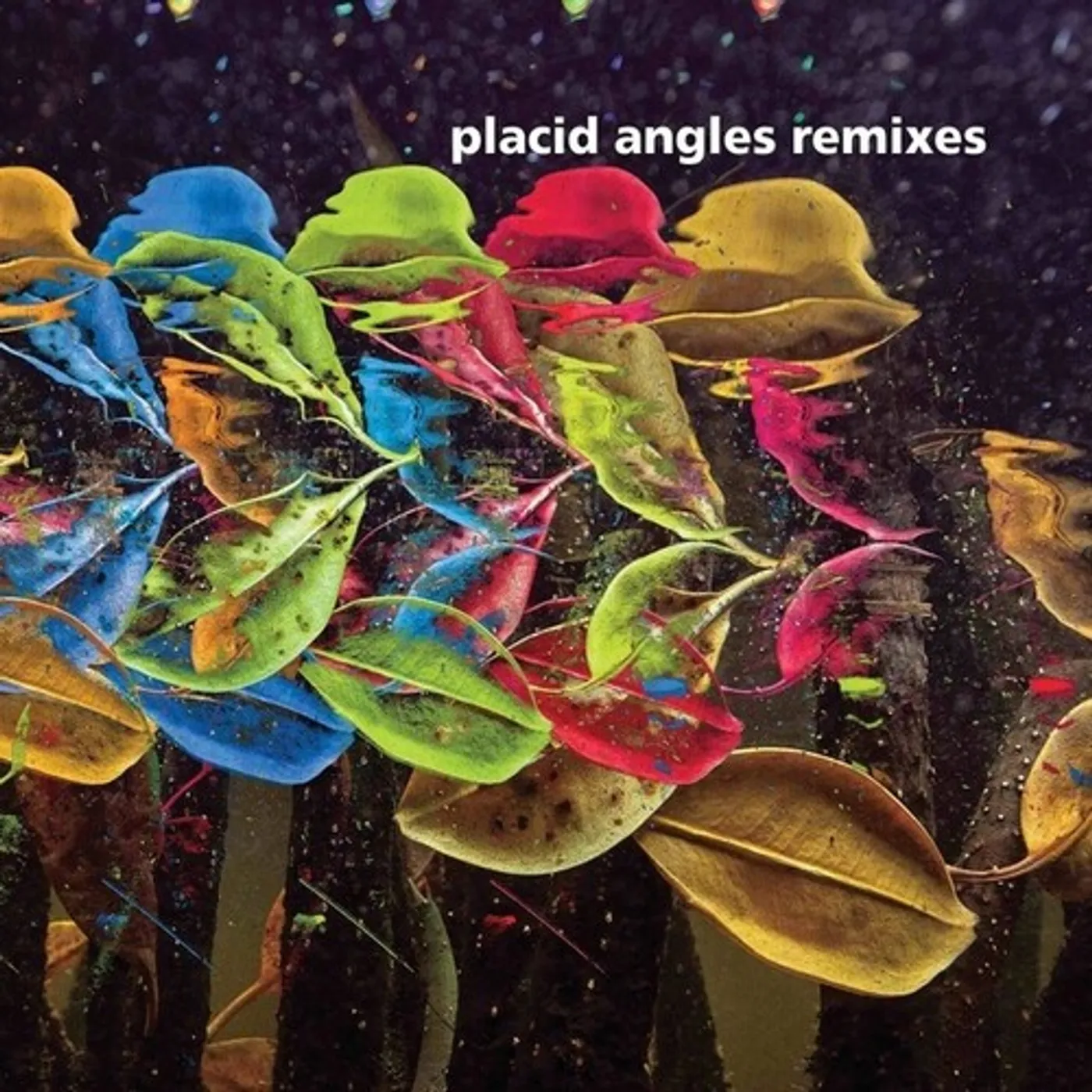Placid Angles Touch The Earth Remixes Vinyl Record