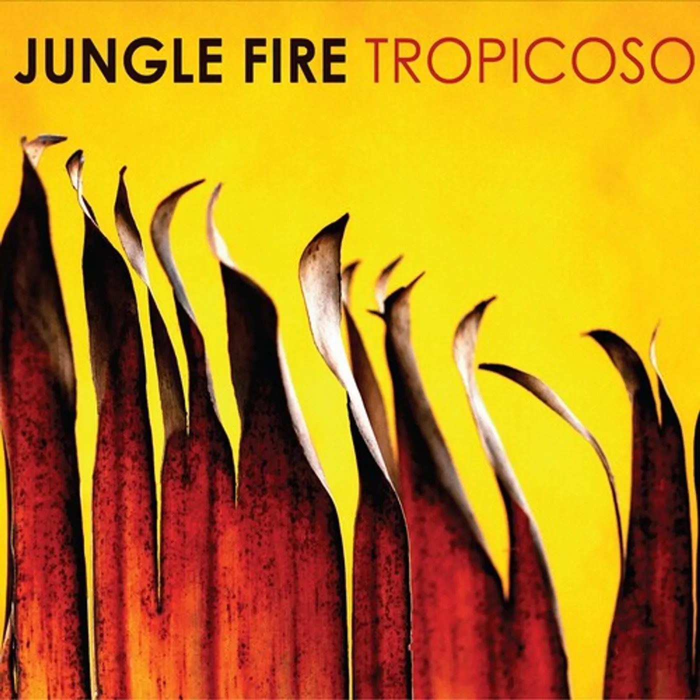 Jungle Fire Tropicoso vinyl record