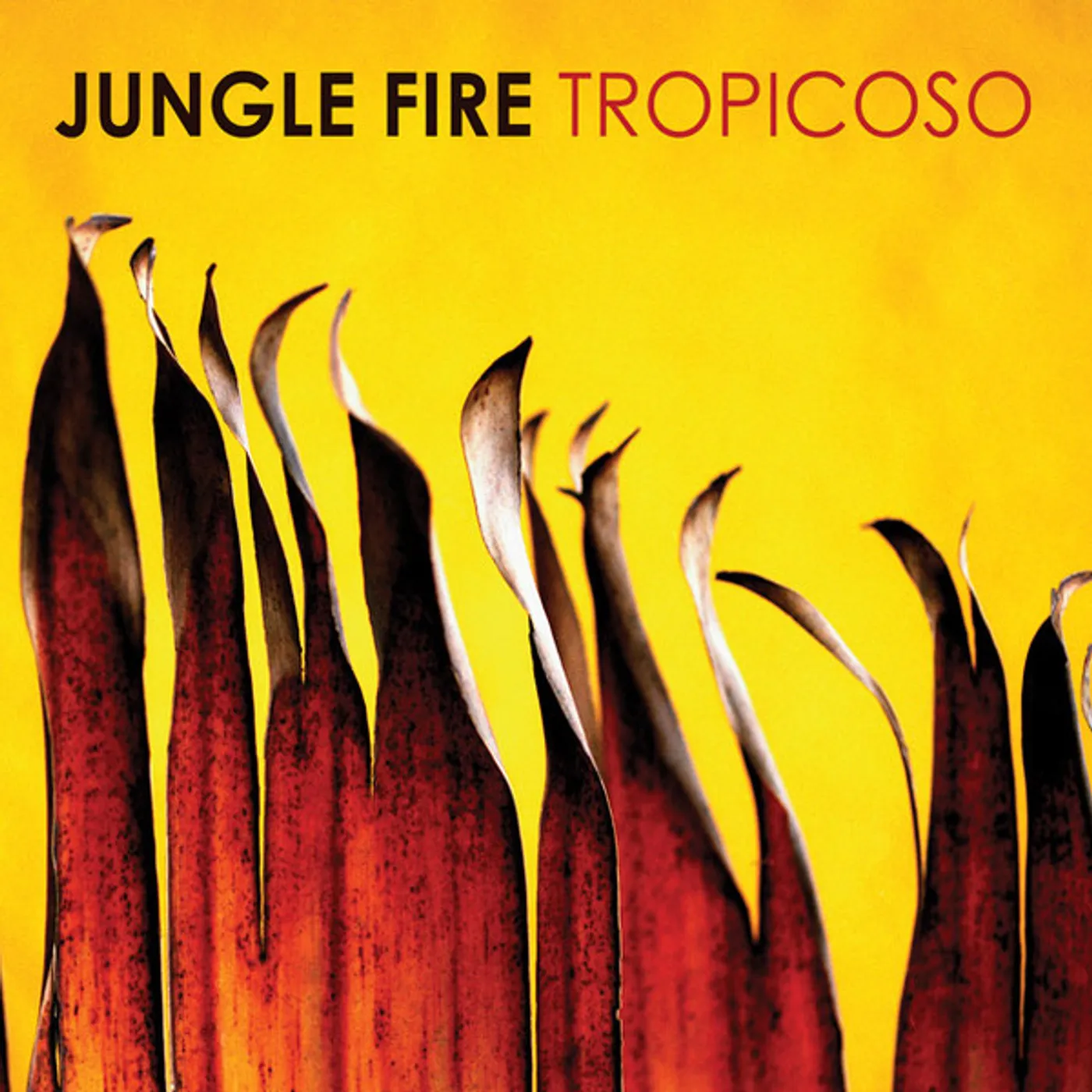 Jungle Fire Tropicoso vinyl record