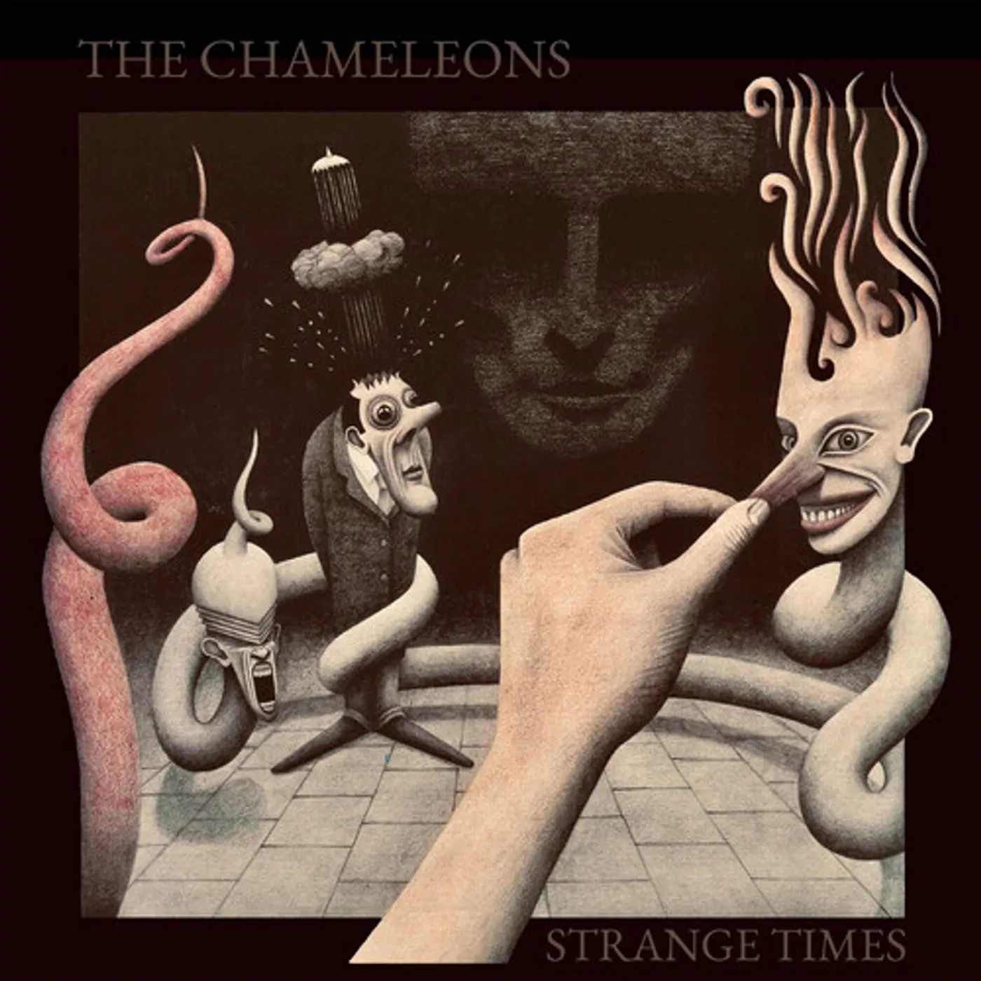 The Chameleons Strange Times Vinyl Record