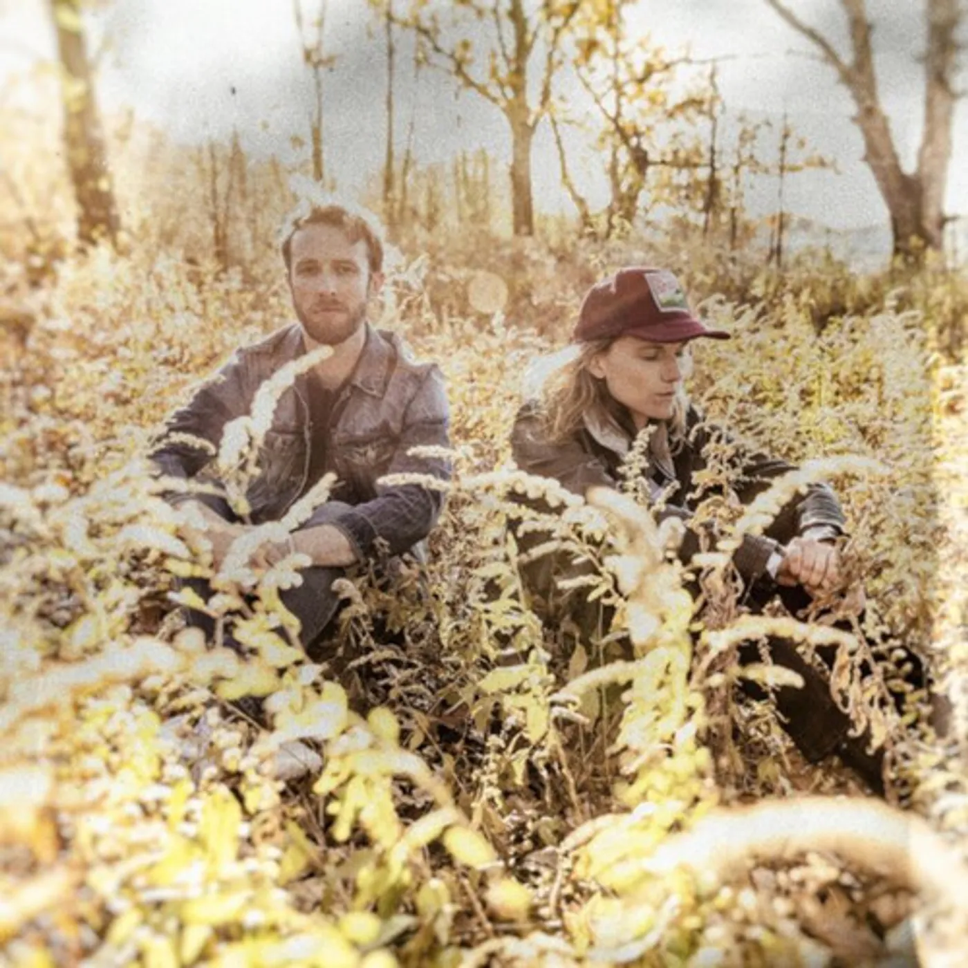 Dead Horses BIRDS CD