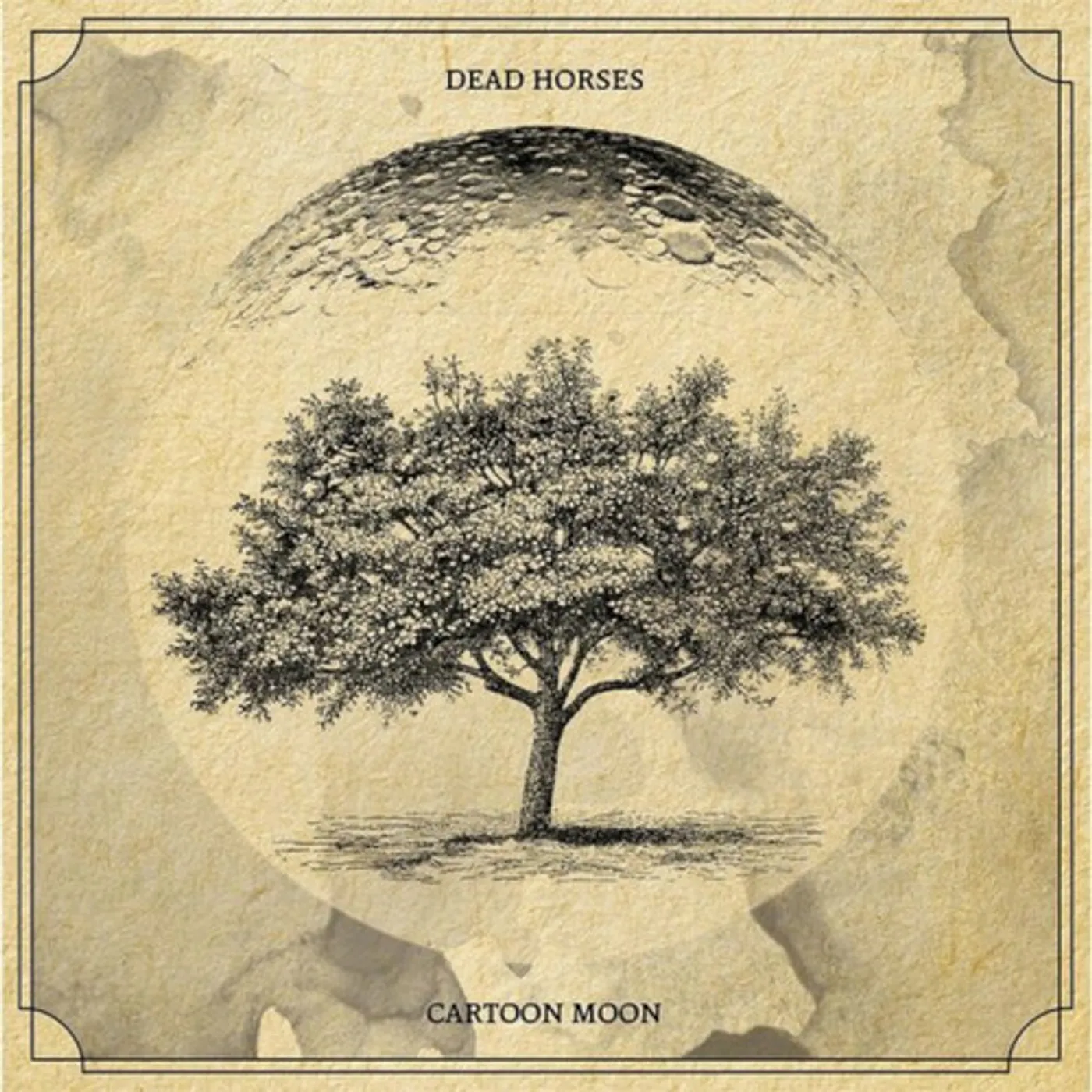 Dead Horses CARTOON MOON CD