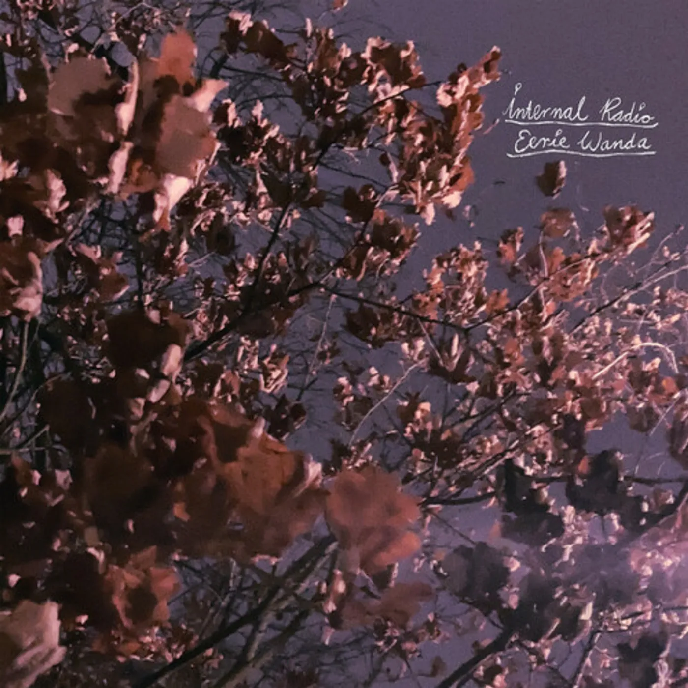 Eerie Wanda INTERNAL RADIO CD