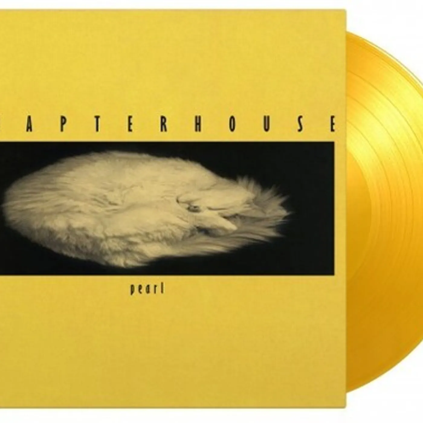 Chapterhouse PEARL Vinyl Record