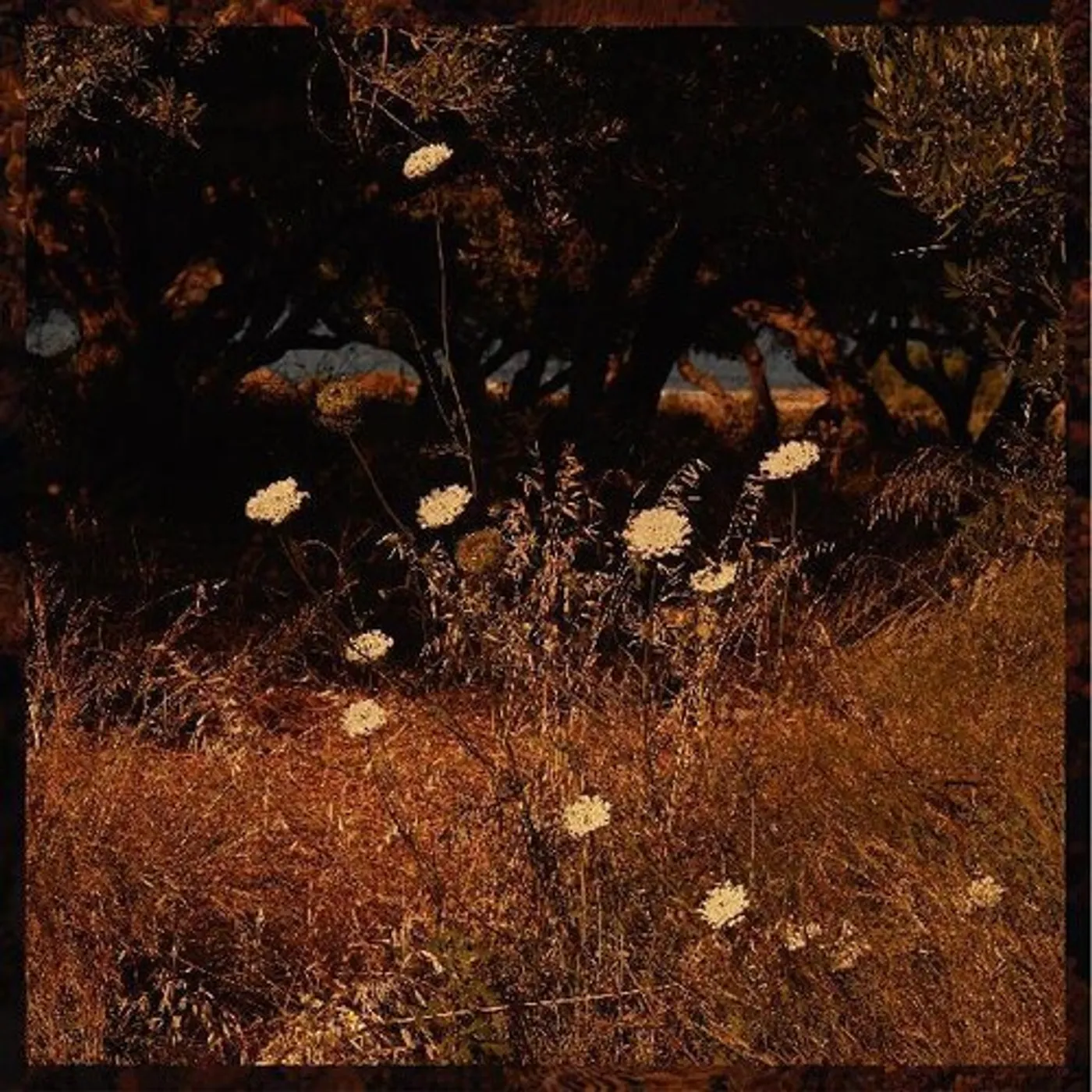 Szun Waves EARTH PATTERNS CD