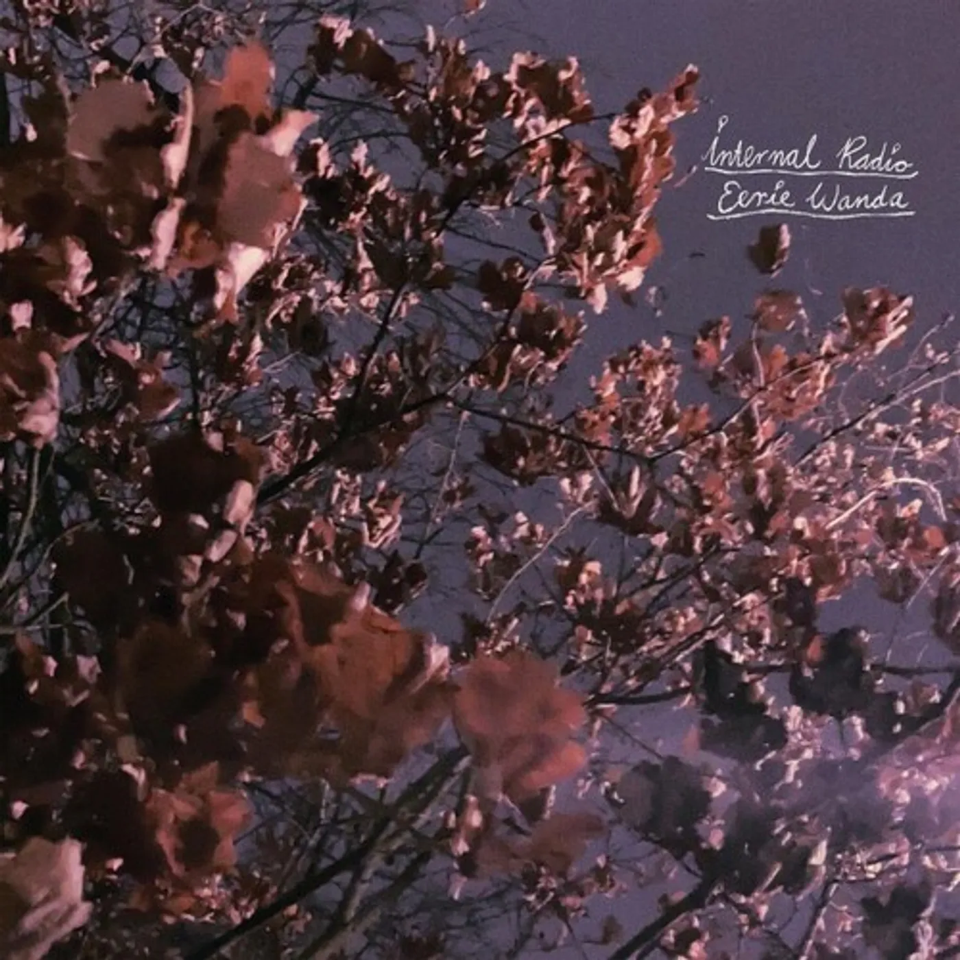 Eerie Wanda Internal Radio - Lavender Vinyl Record