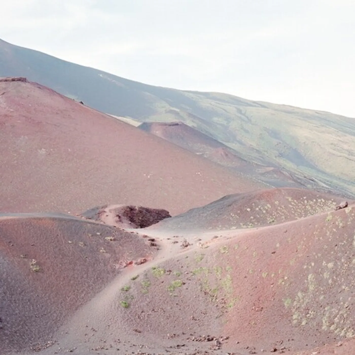 Blomfelt & Narby Peter Barbara Beth & Friends Vinyl Record