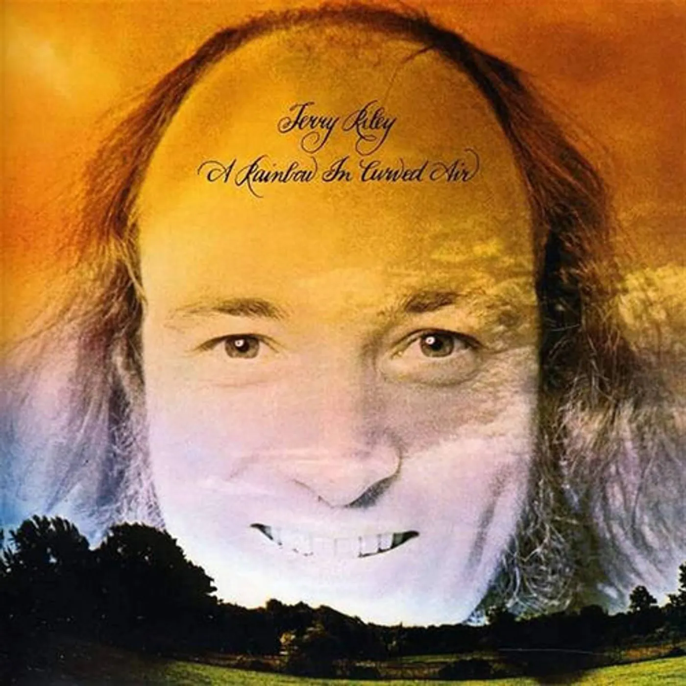 Terry Riley RAINBOW IN CURVED AIR Vinyl Record