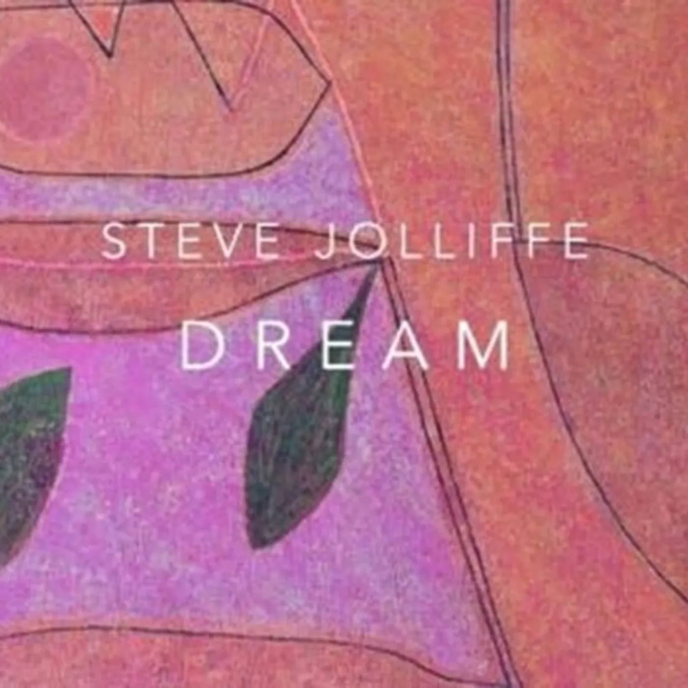 Steve Jolliffe Dream CD