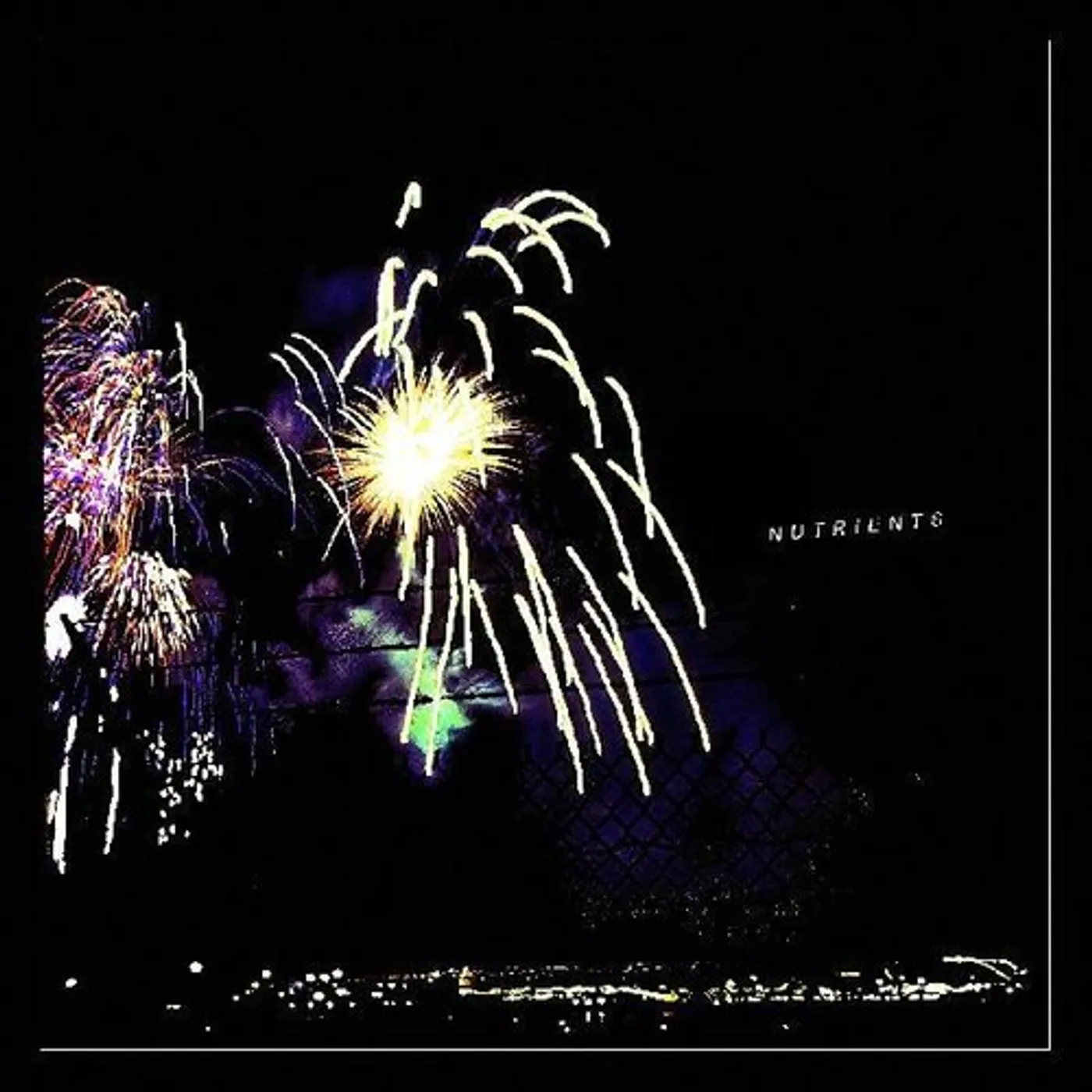 Nutrients Different Bridges Vinyl Record