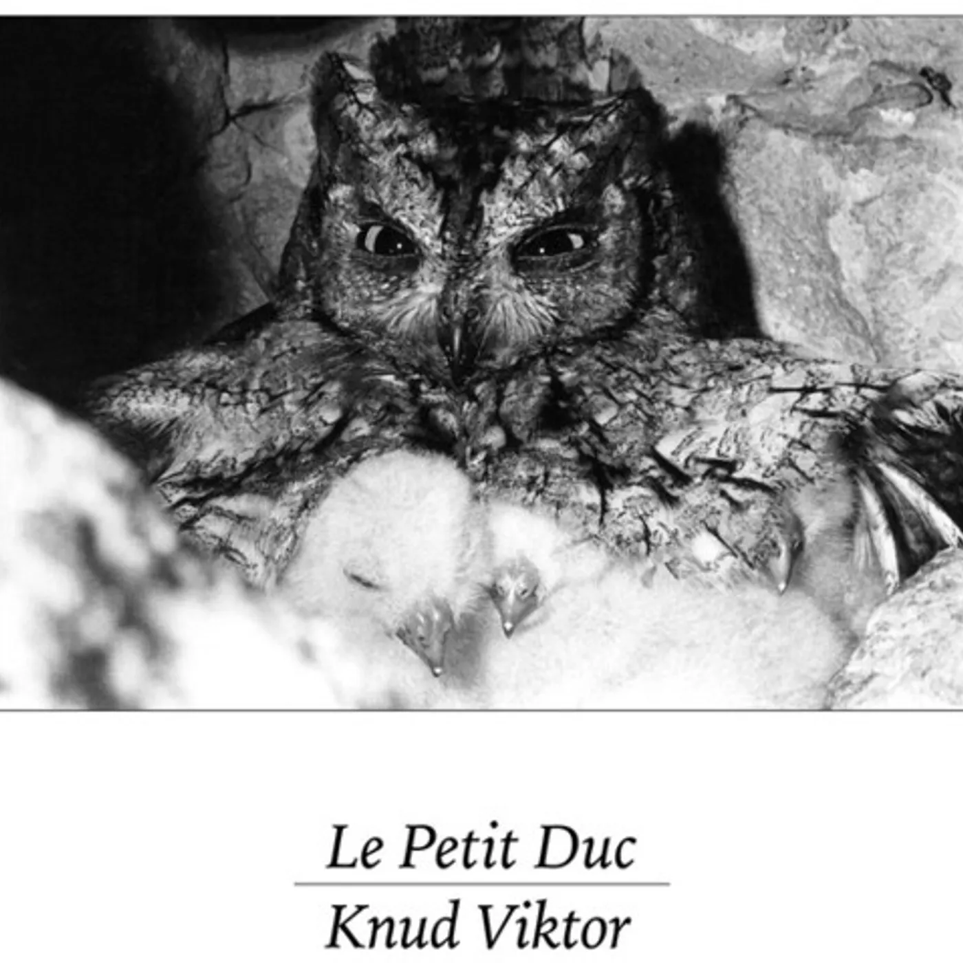 Knud Viktor Le Petit Duc Vinyl Record