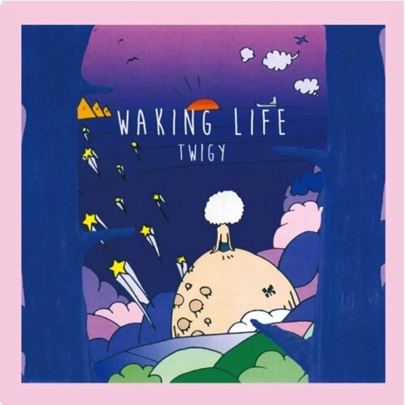 TWIGY WAKING LIFE Vinyl Record