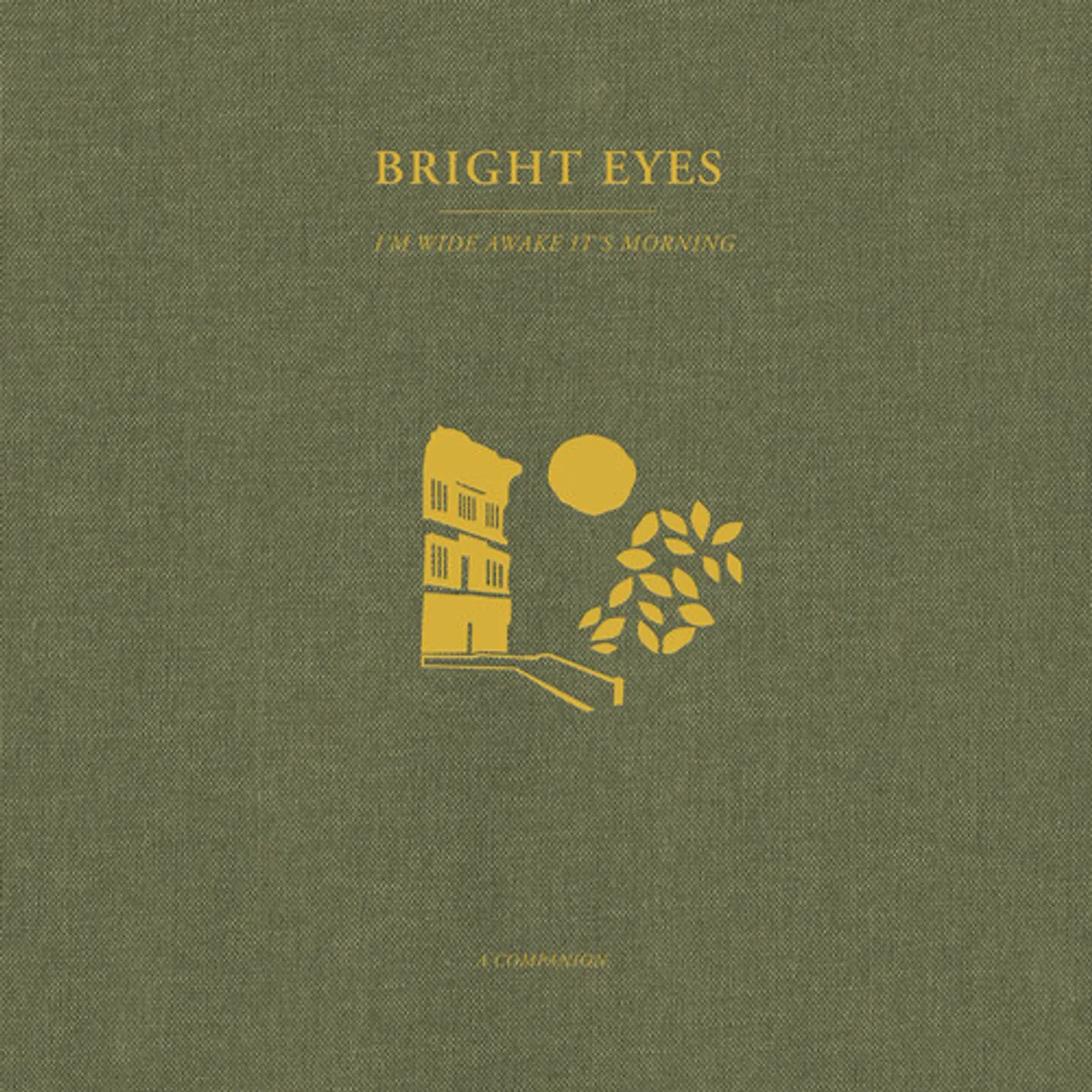 Bright Eyes I'm Wide Awake, It's Morning: A Companion (Gold) Vinyl Record