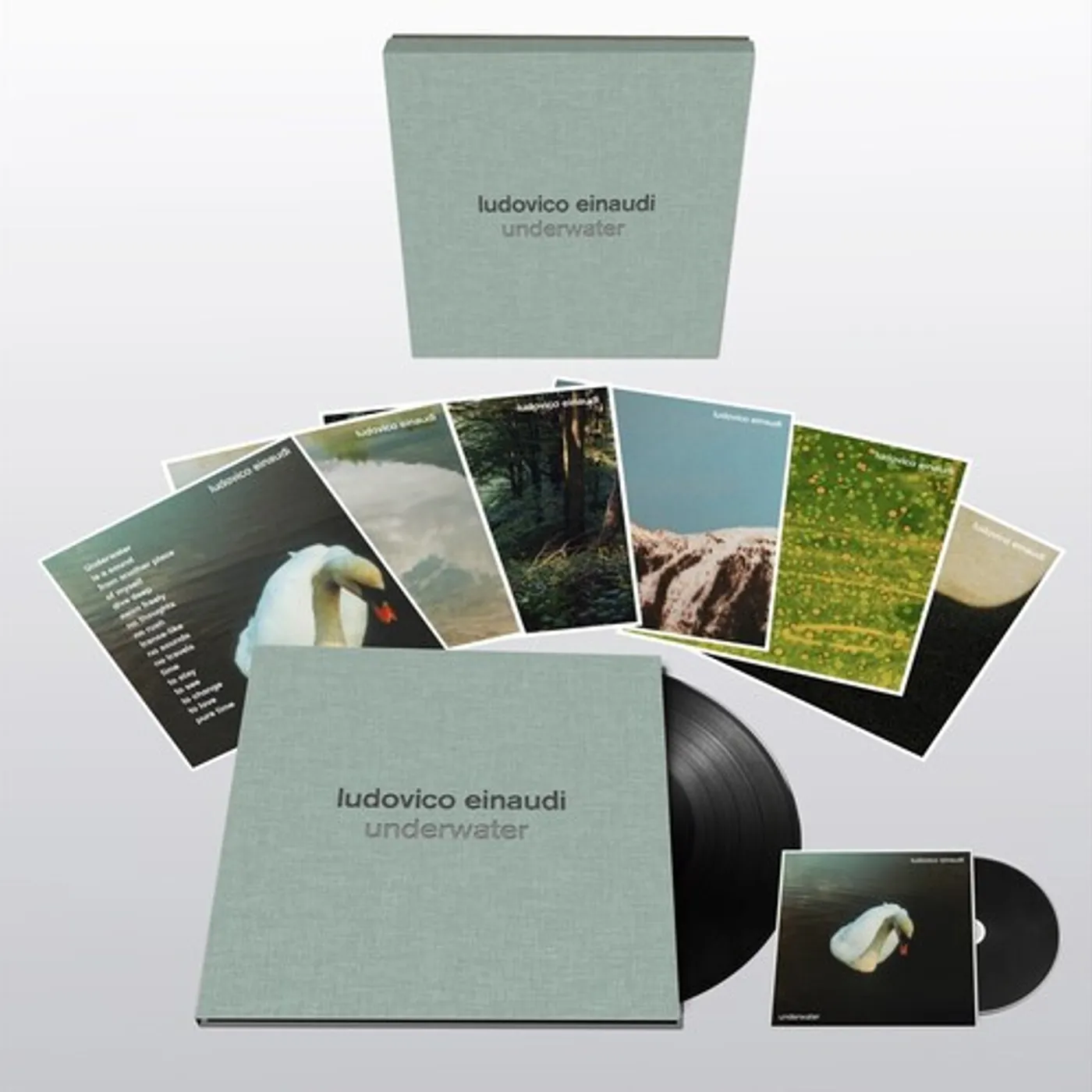 Ludovico Einaudi Underwater Vinyl Record