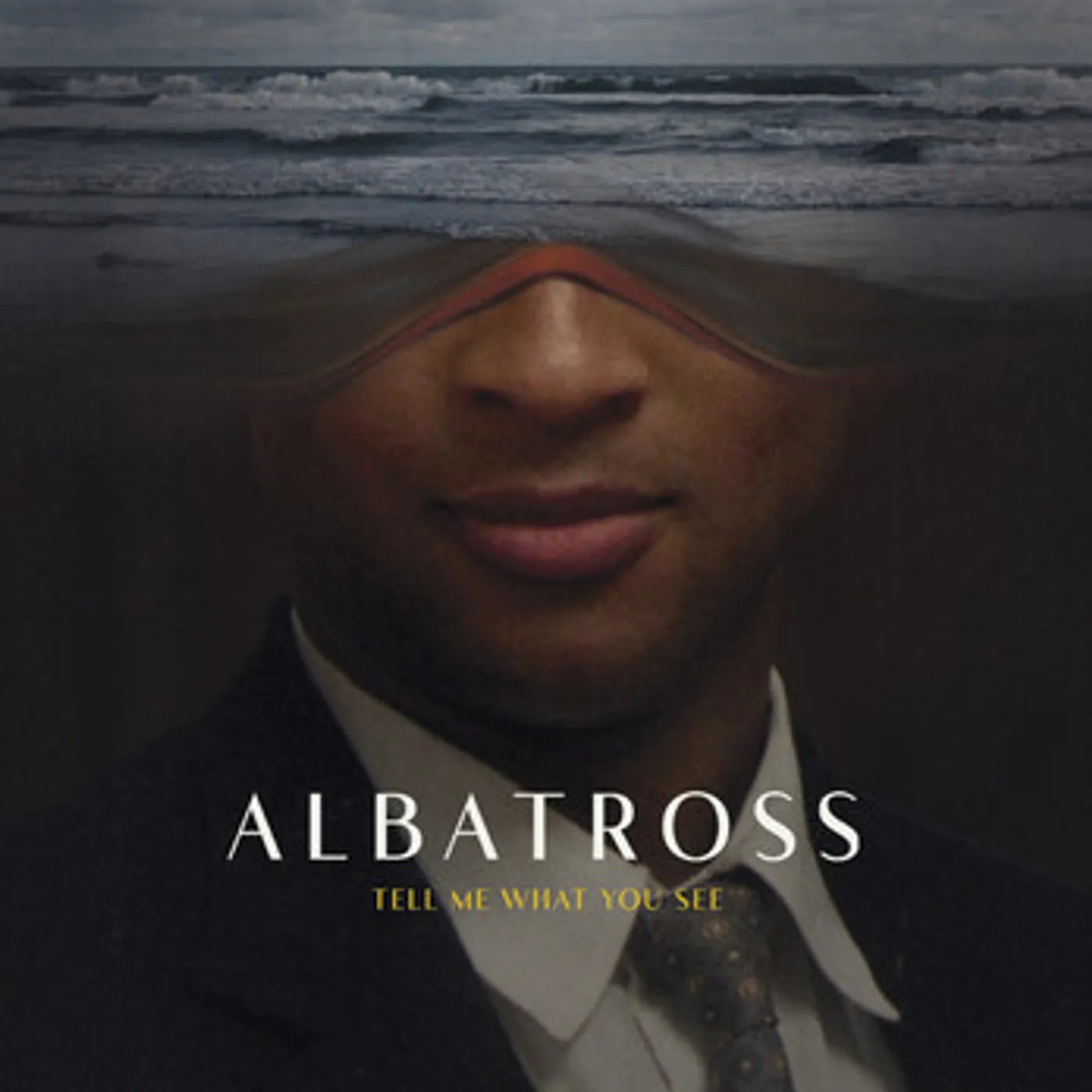 ALBATROSS DVD
