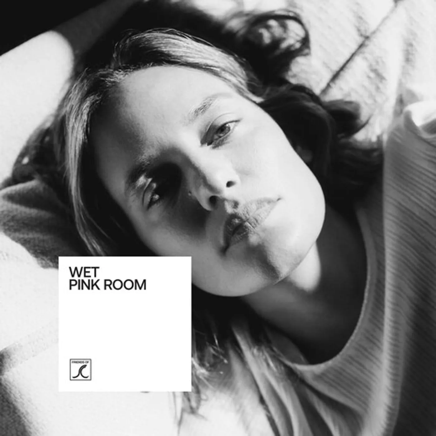Wet PINK ROOM Vinyl Record