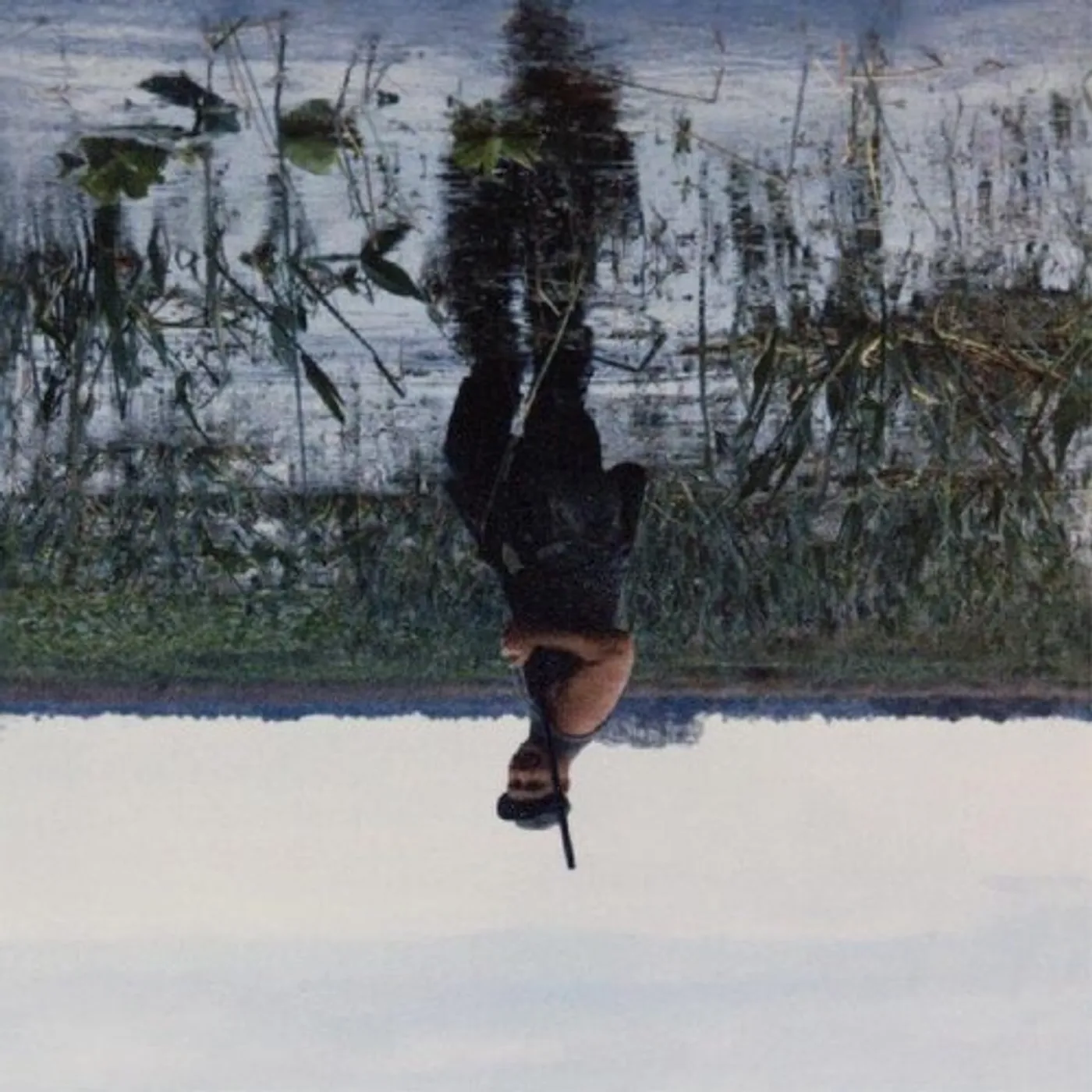 Knifeplay ANIMAL DROWNING CD