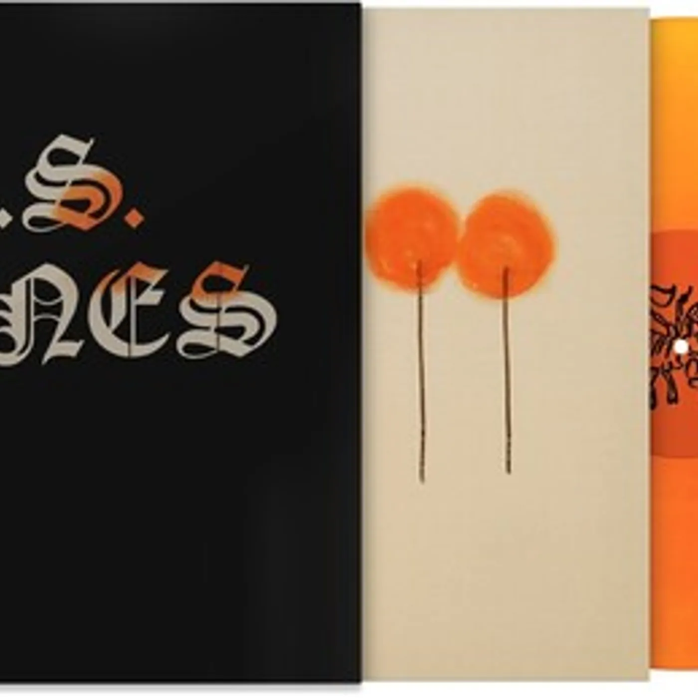 L.S. Dunes Past Lives Vinyl Record