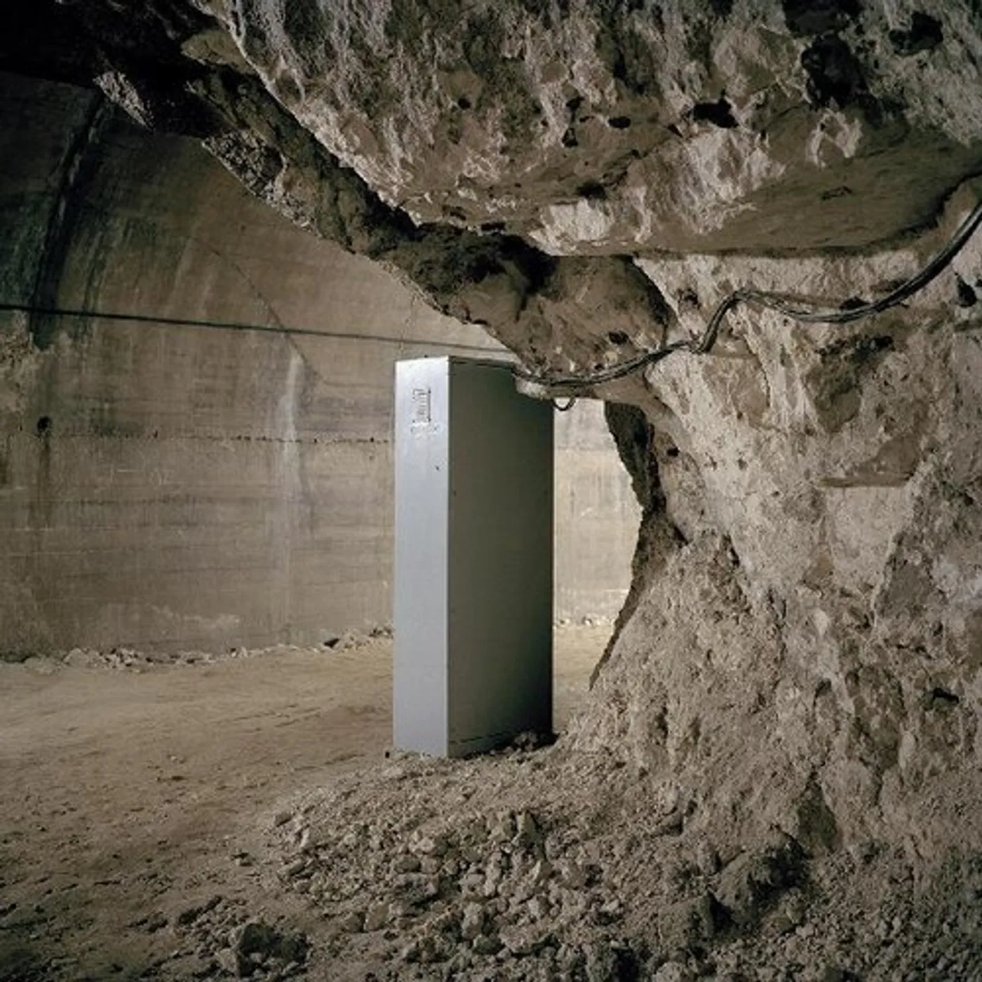 Deru We Will Live On Vinyl Record