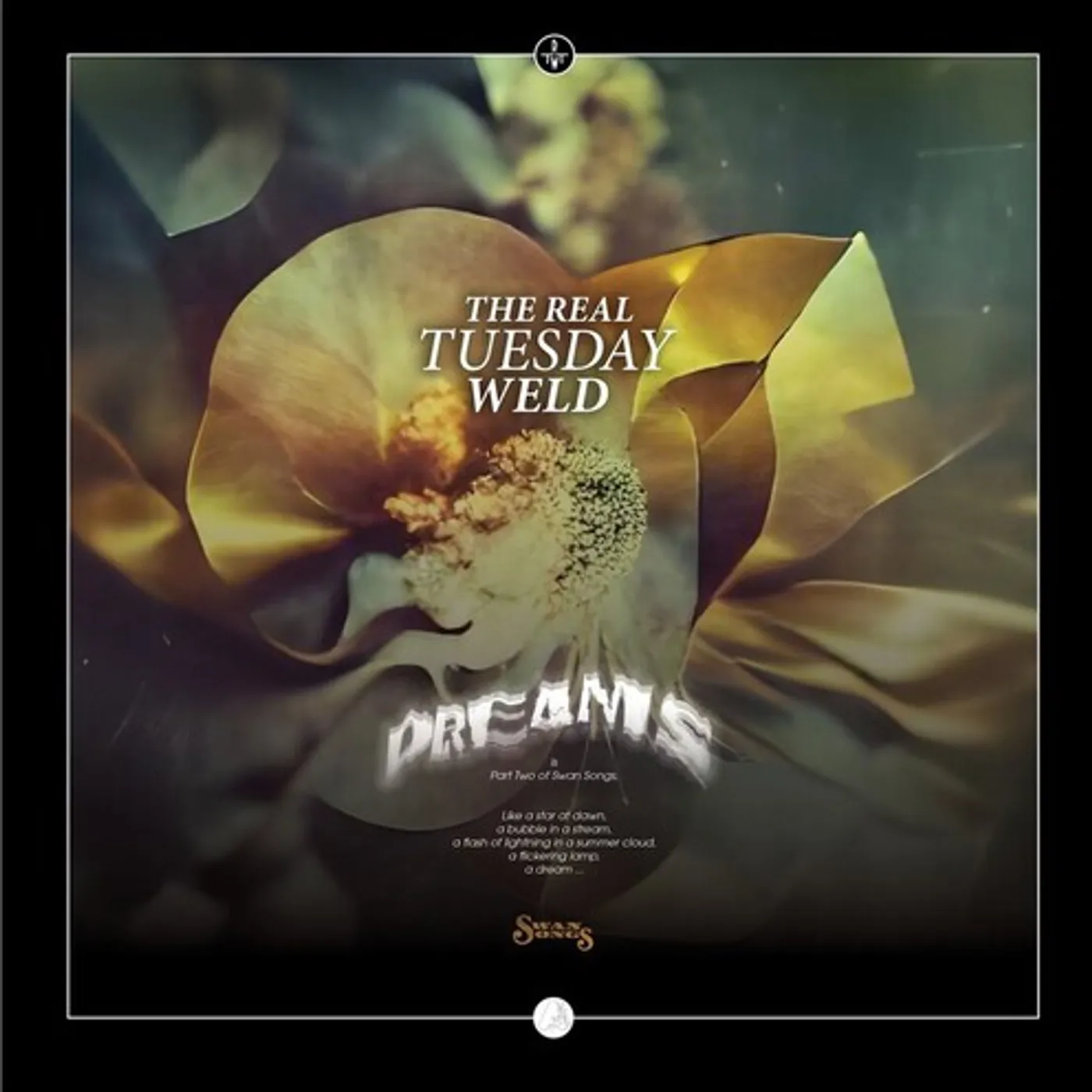 The Real Tuesday Weld DREAMS CD