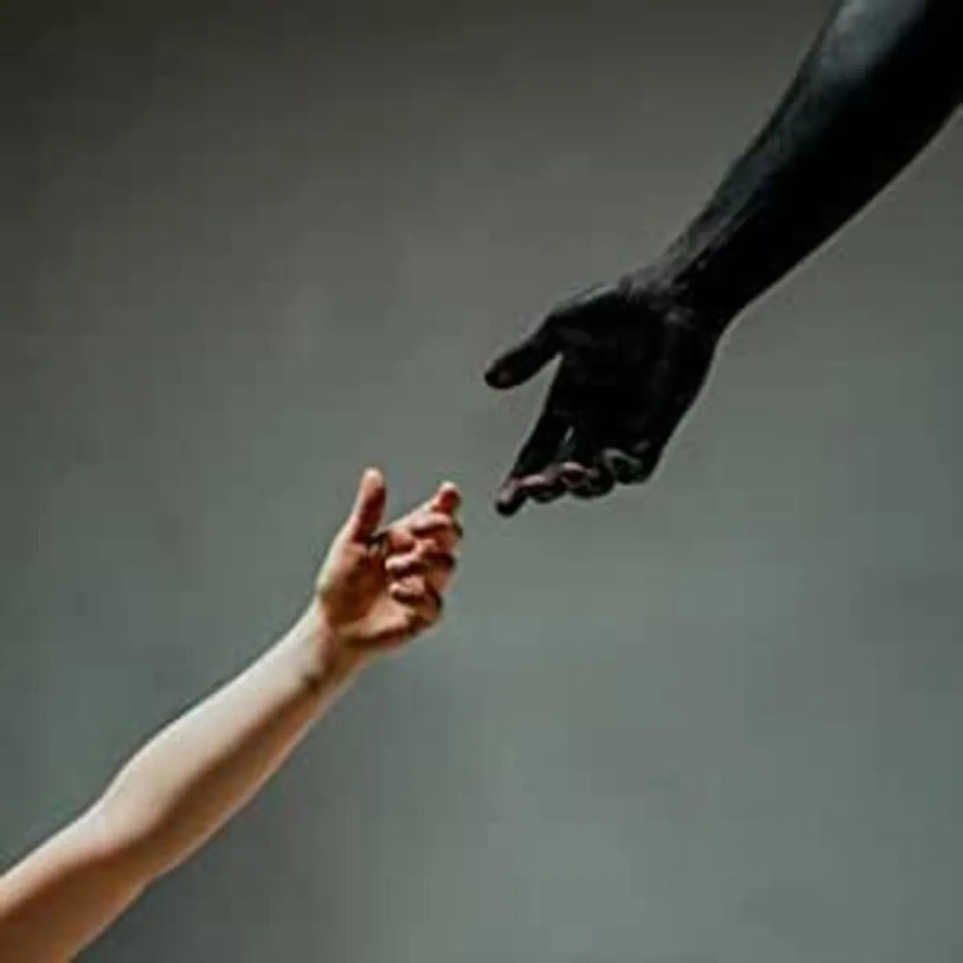 Aviana CORPORATION CD