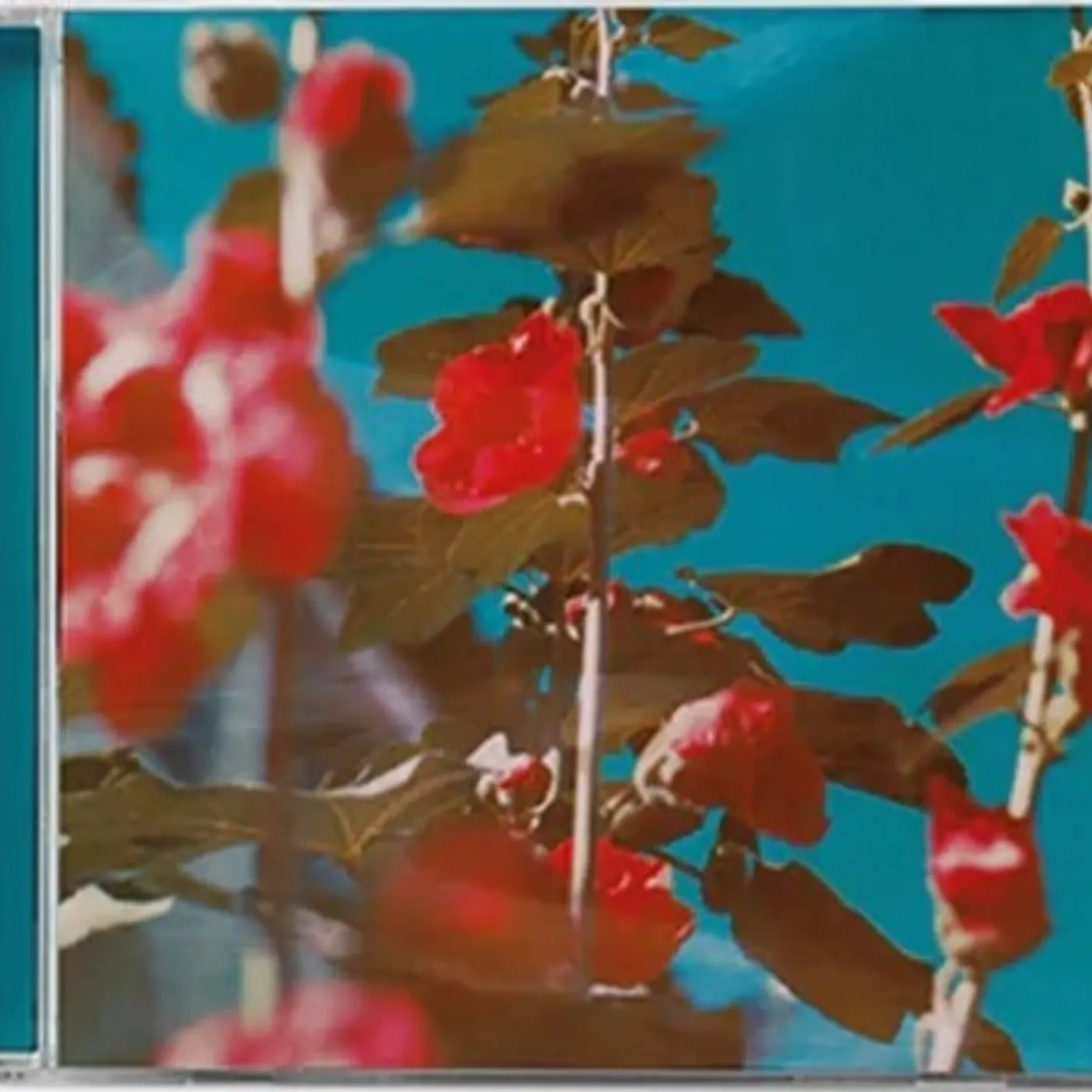 Chad Lawson BREATHE CD