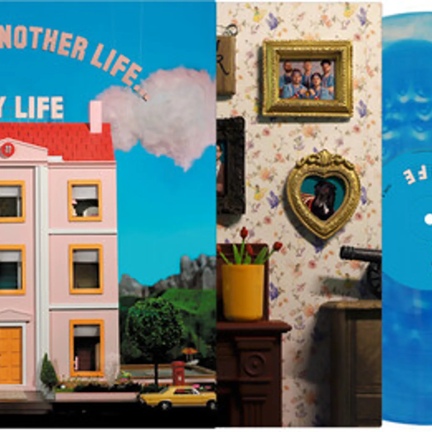 easy life Maybe In Another Life Vinyl Record