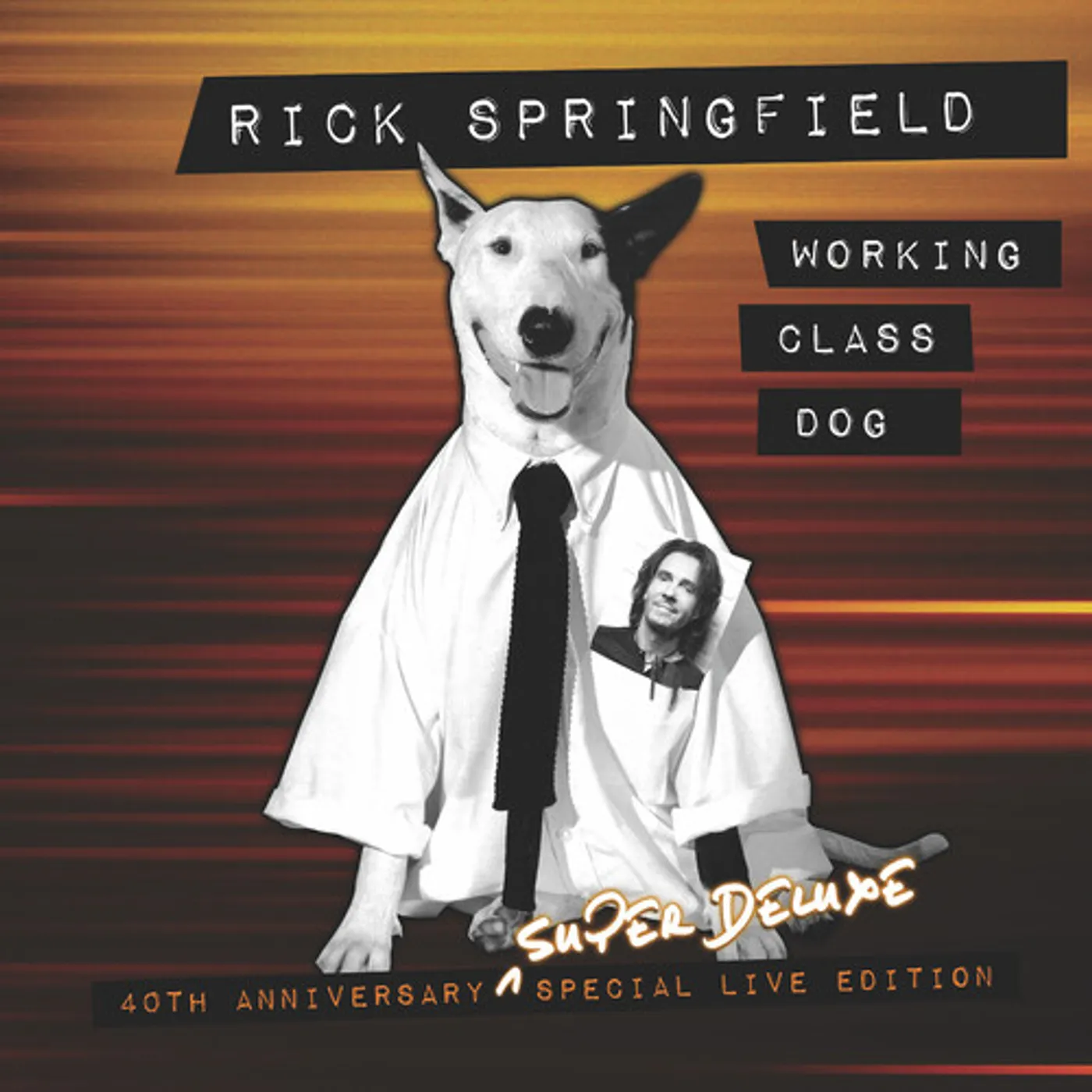 Rick Springfield WORKING CLASS DOG - 40TH ANNIV. SPECIAL CD