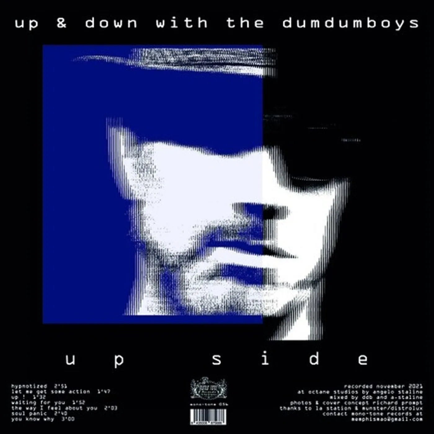 Up & Down with the Dum Dum Boys Vinyl Record