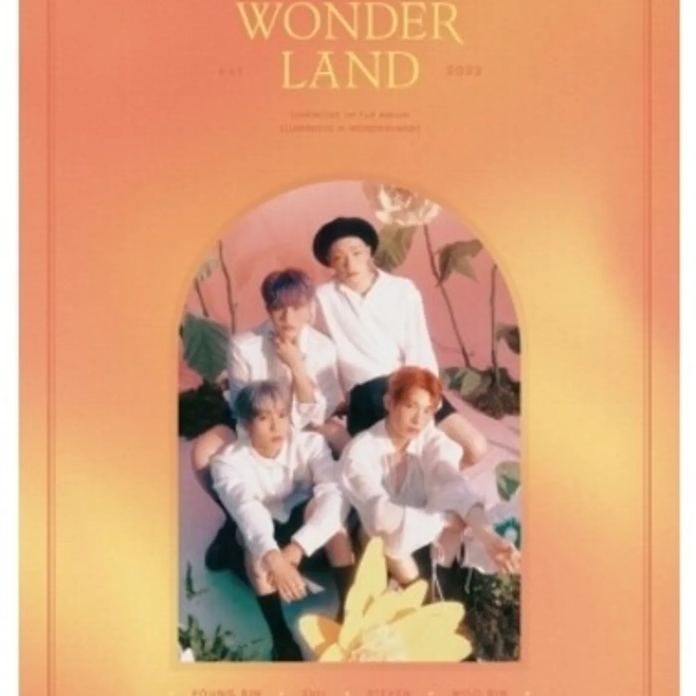 LUMINOUS IN WONDERLAND CD